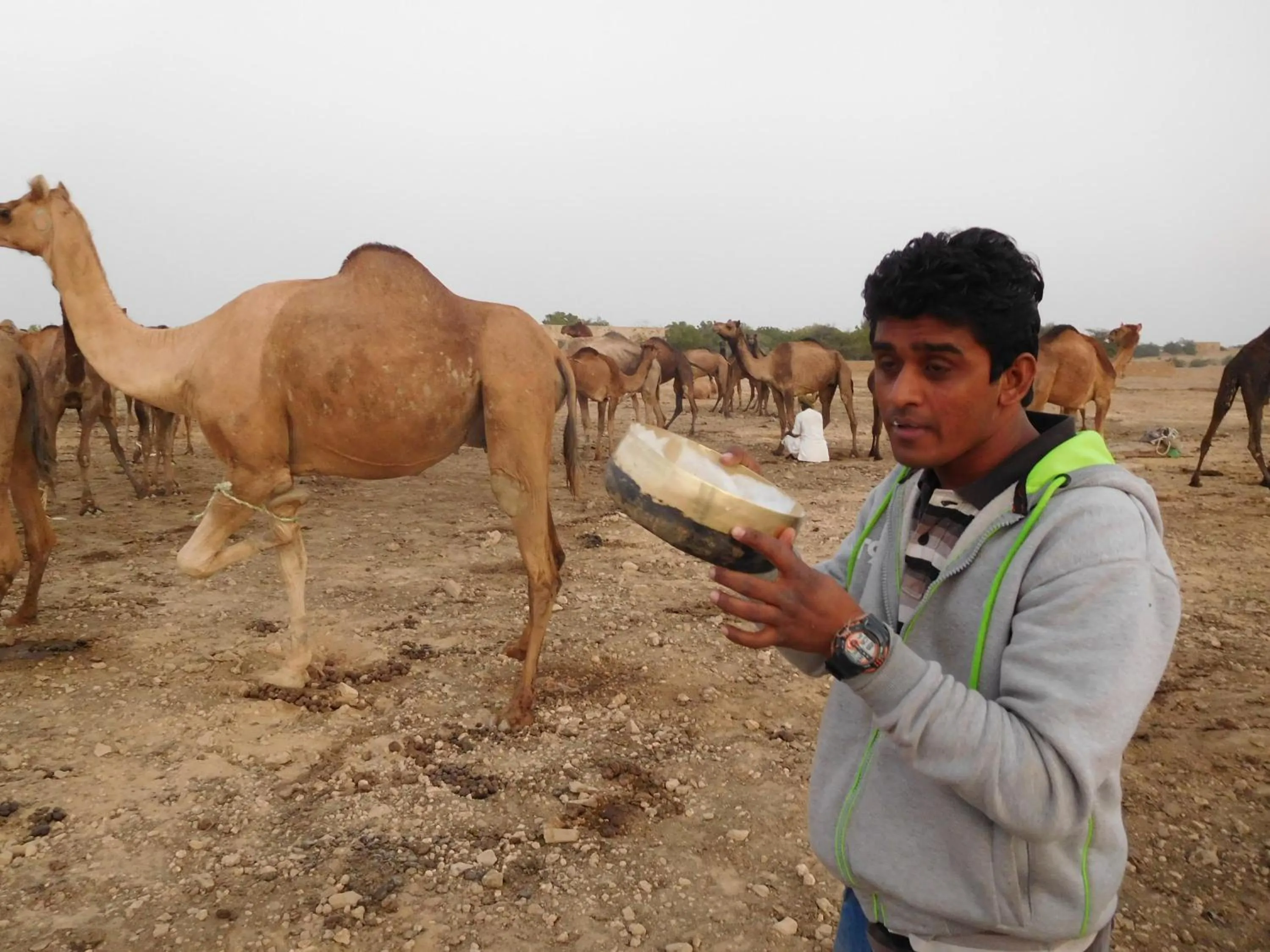 Activities in Hotel Deep Mahal