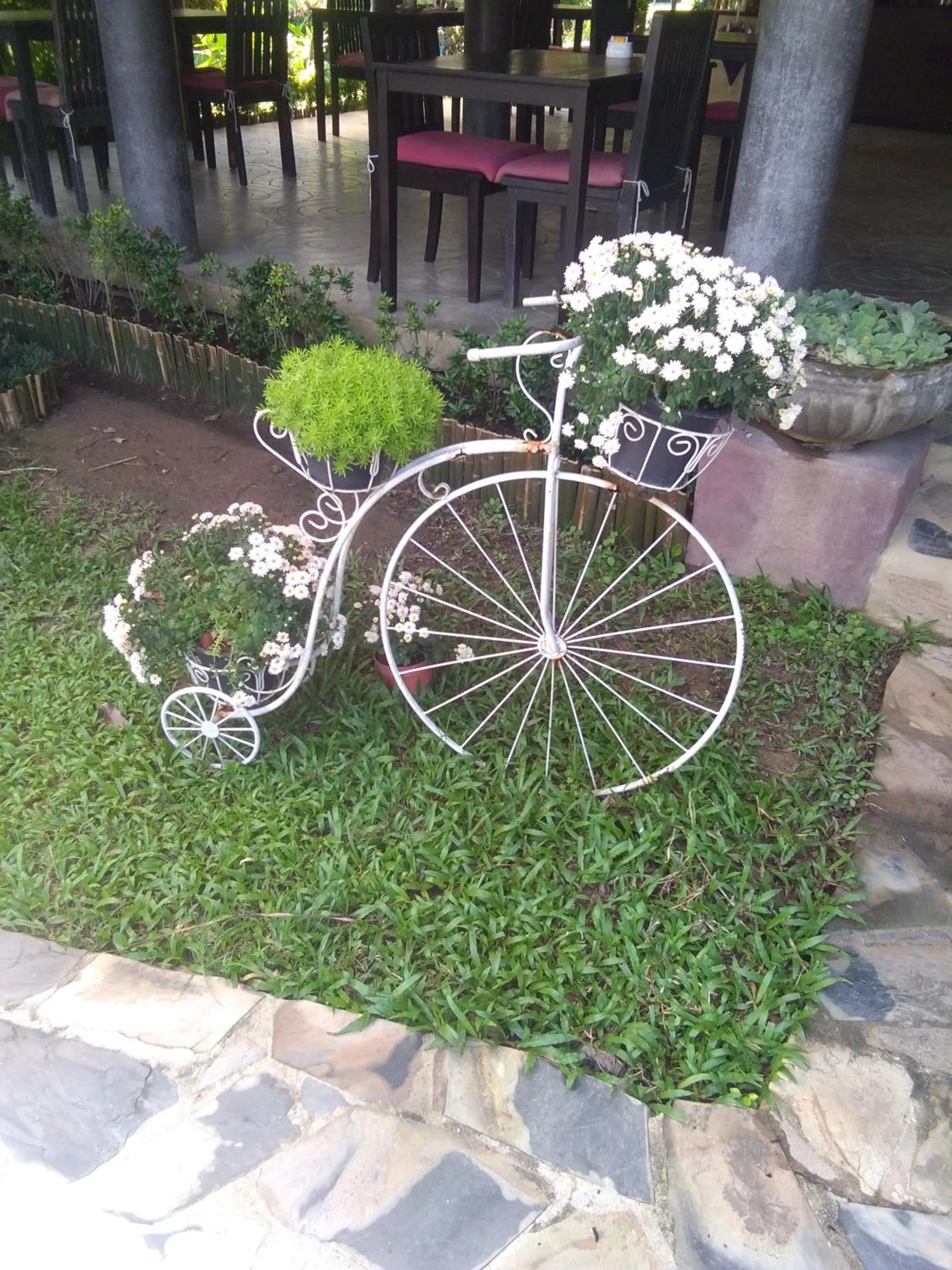 Garden in Baan Chai Thung Resort