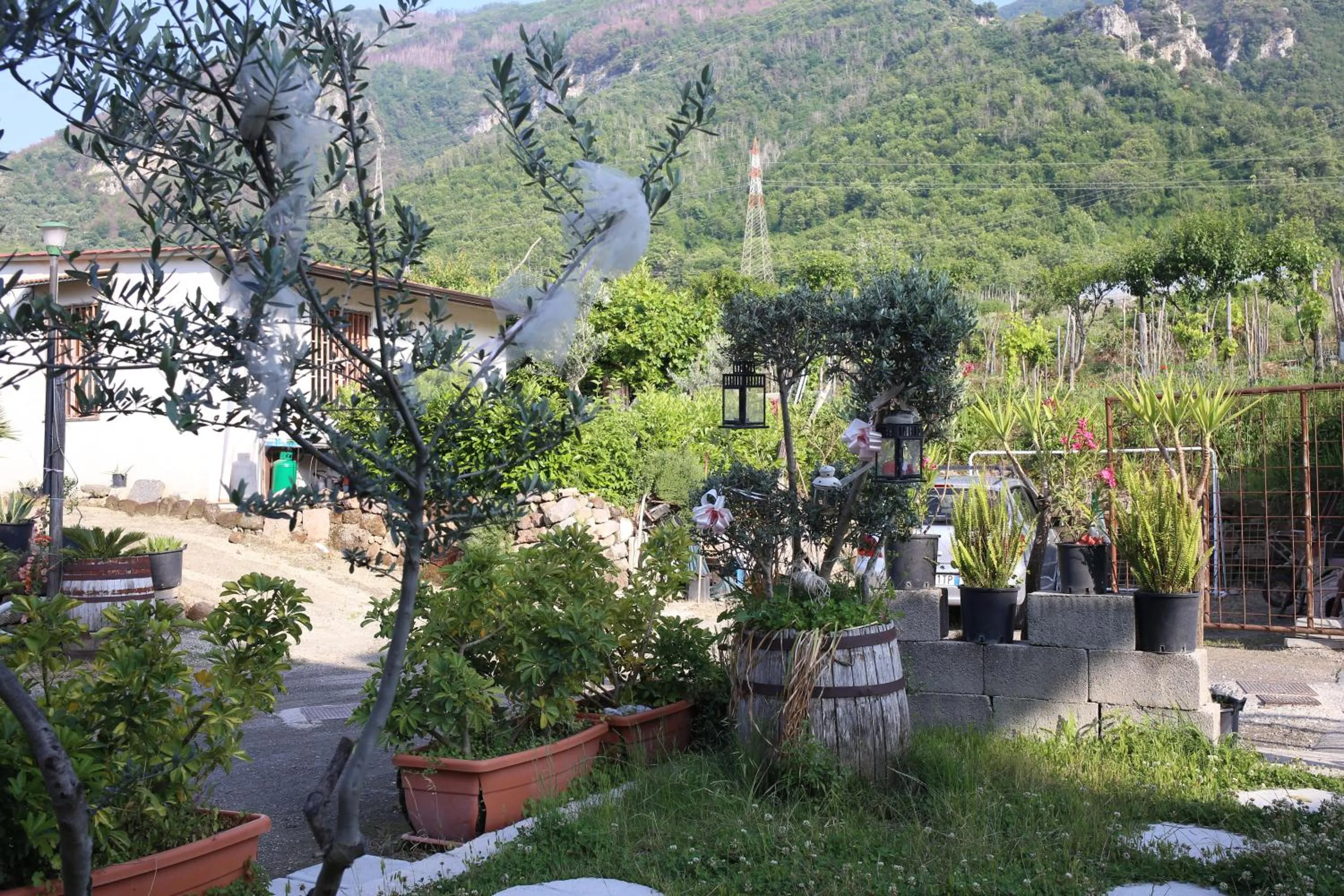 Annabella's Country House