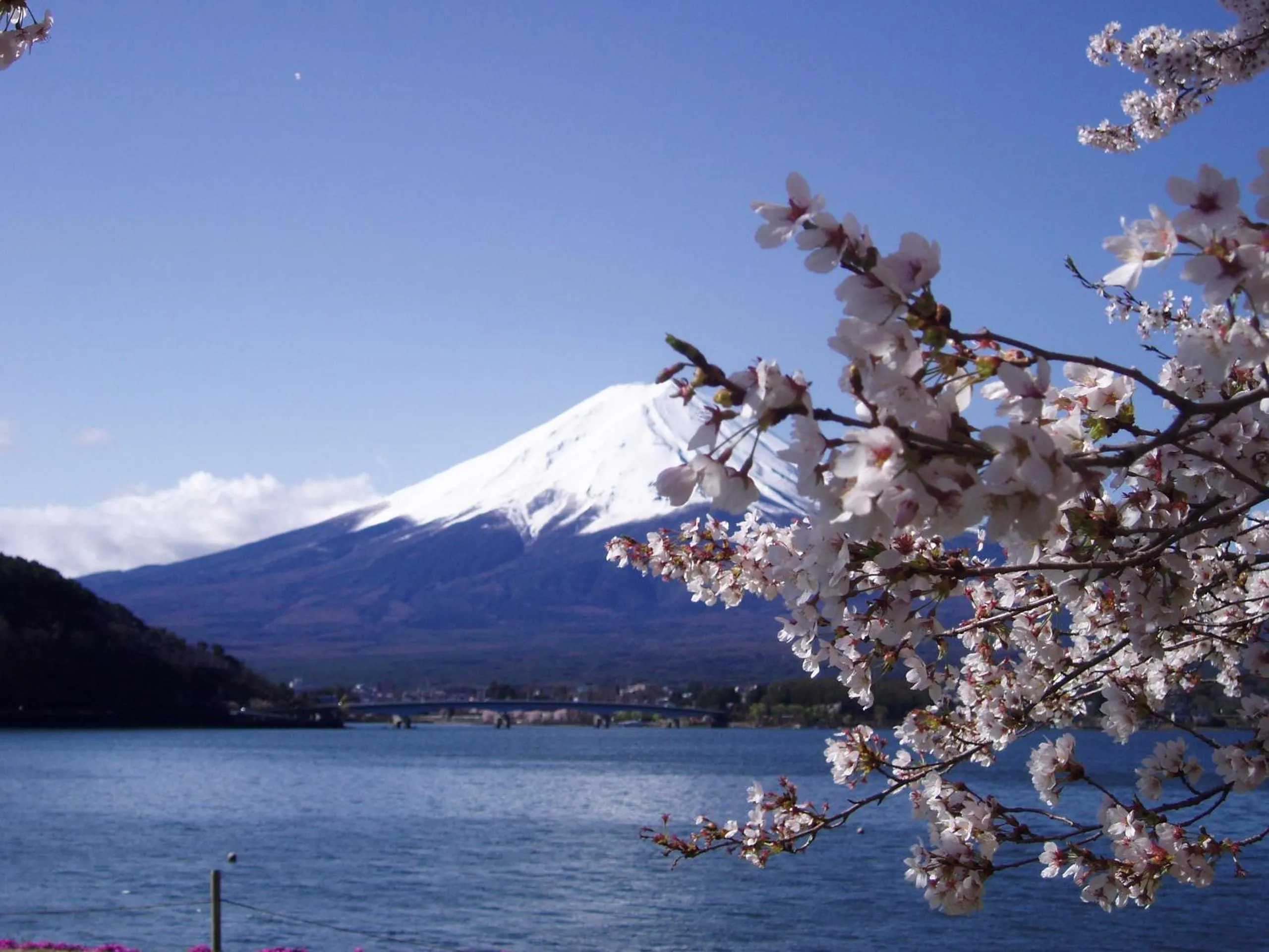 Natural landscape in Komaya Ryokan