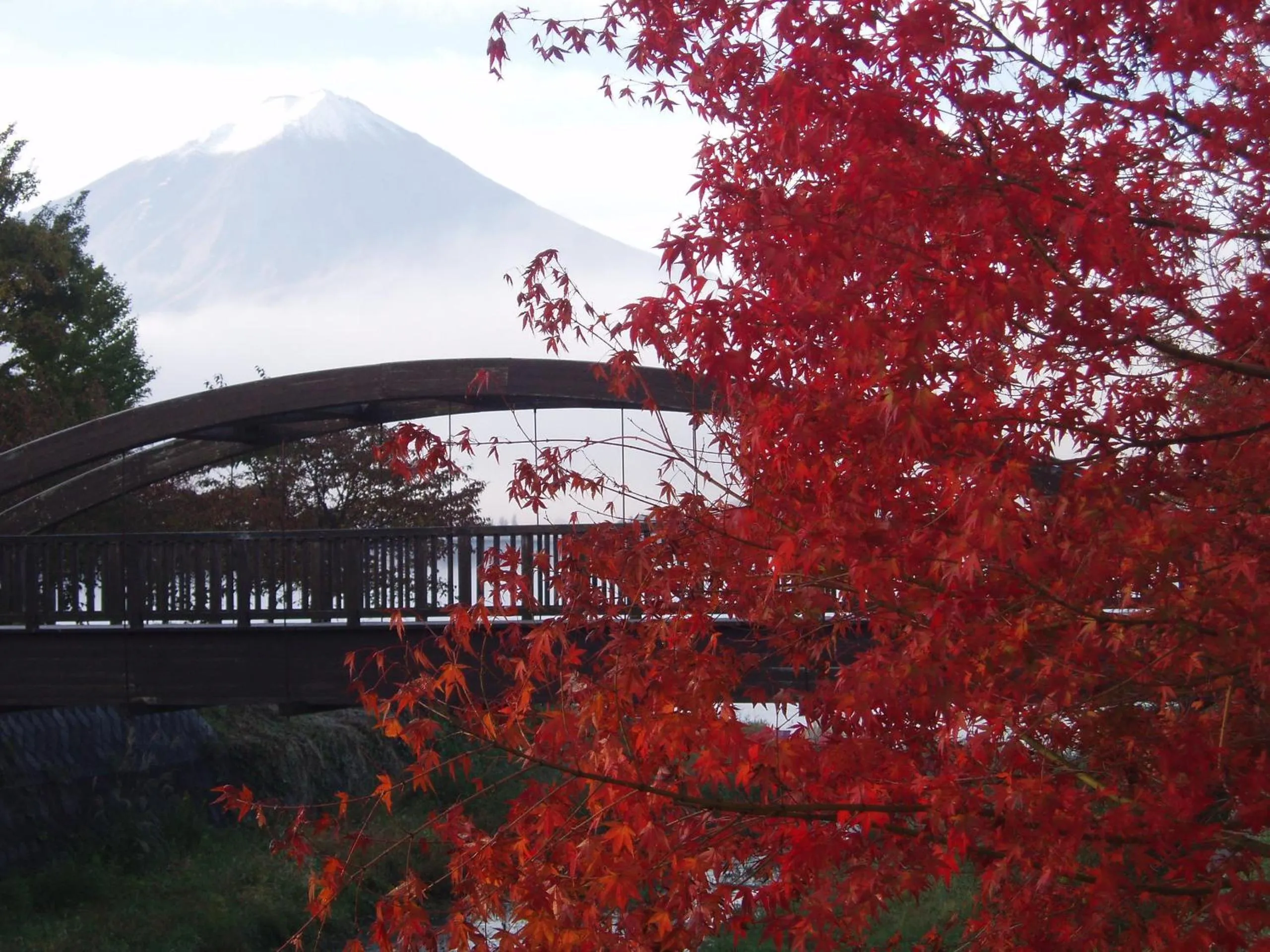 Natural landscape in Komaya Ryokan