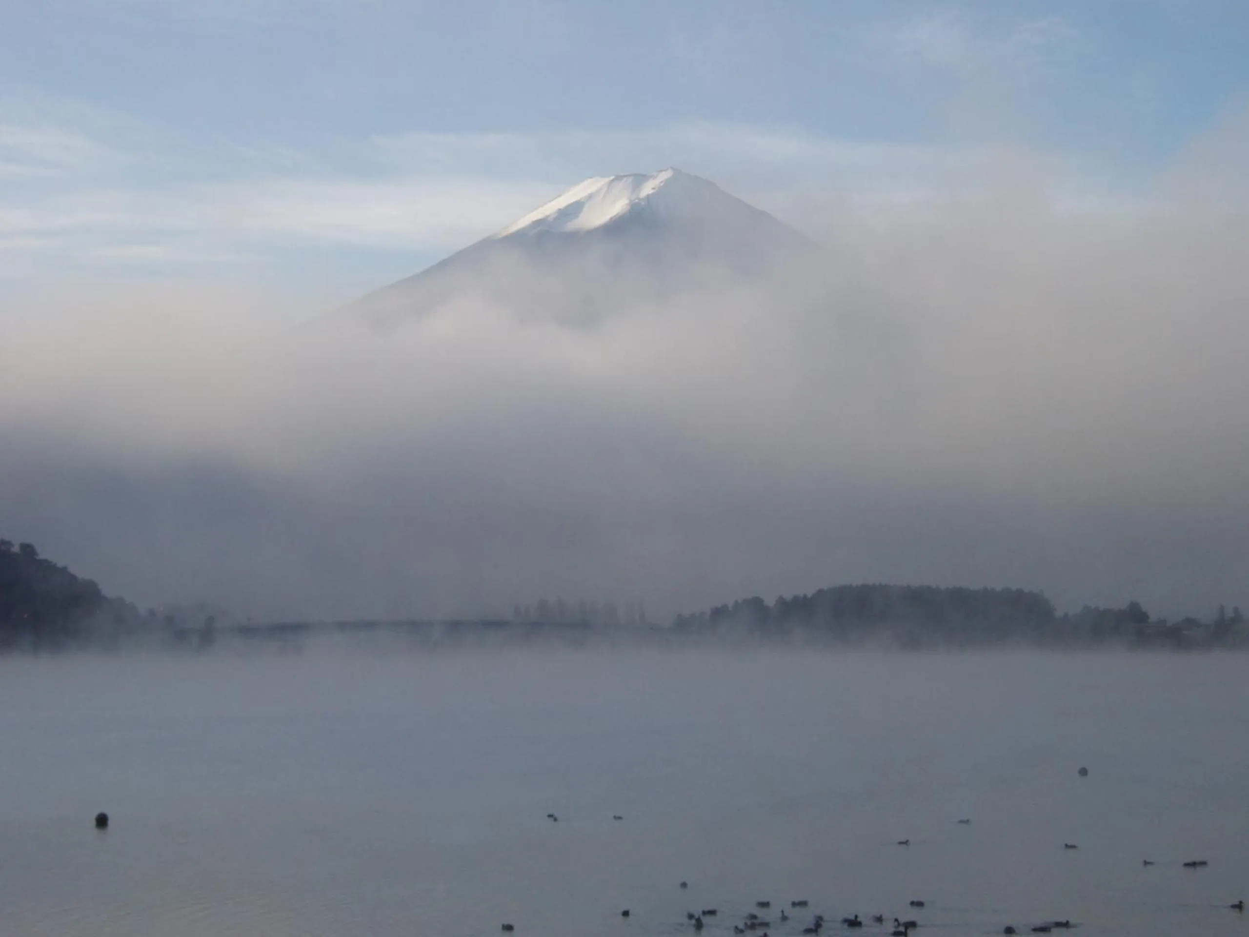Natural landscape in Komaya Ryokan