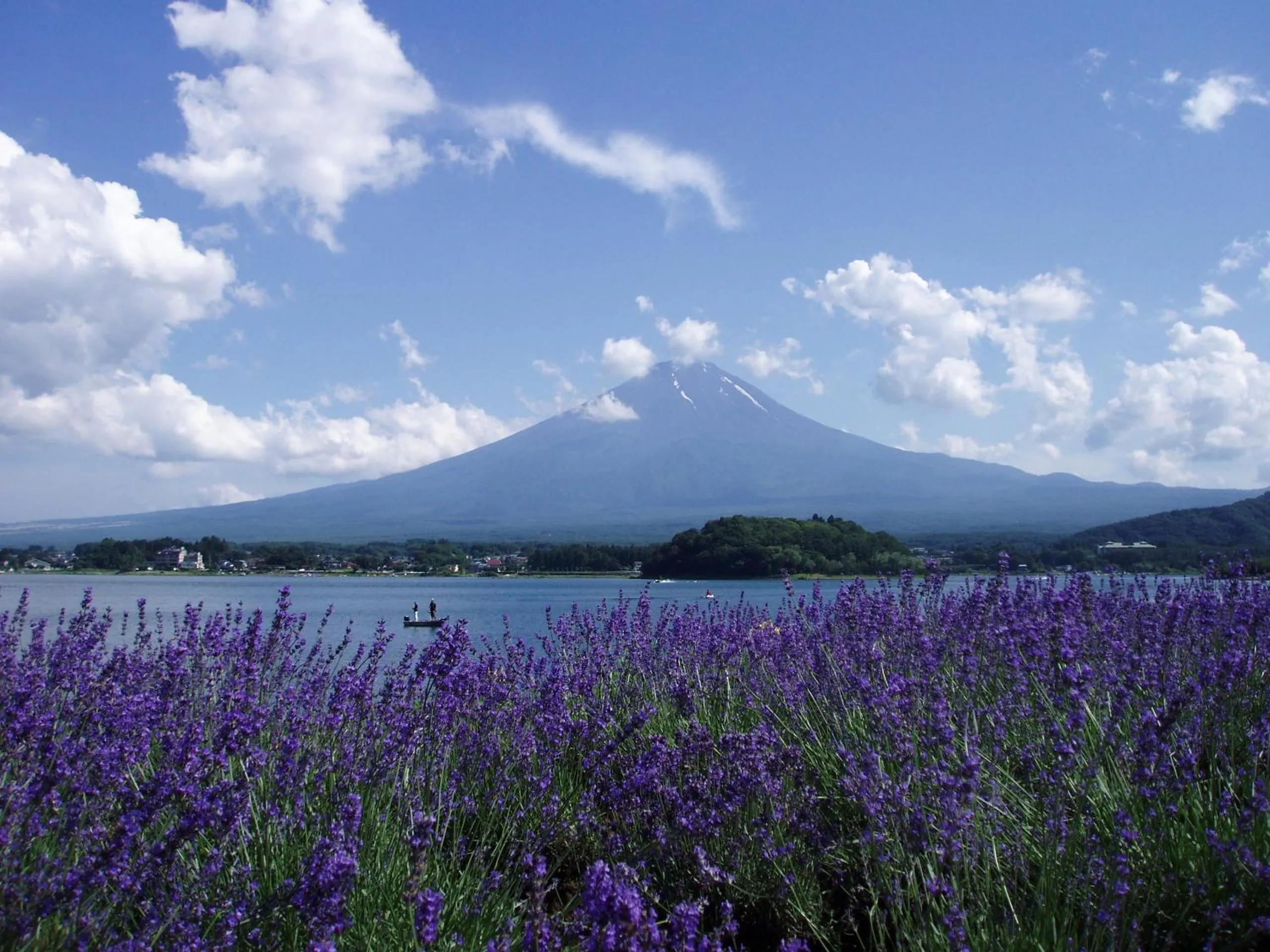 Natural landscape in Komaya Ryokan