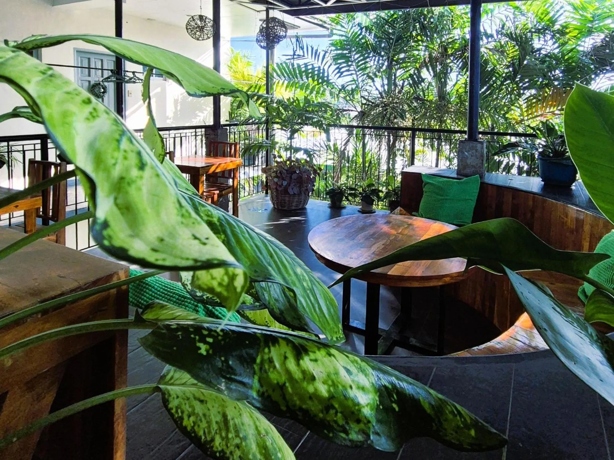 Garden view in Green Turtle Backpackers Guesthouse, Puerto Princesa