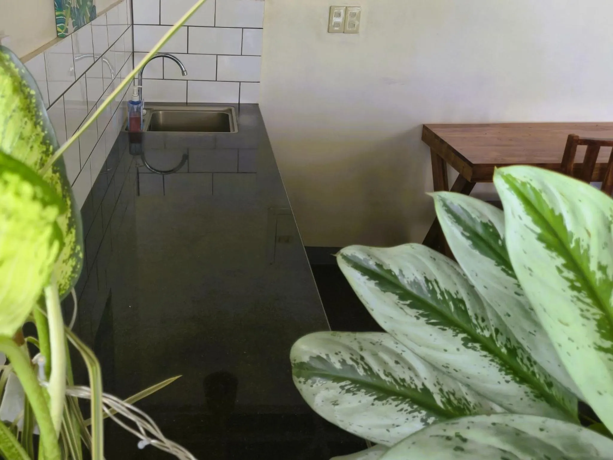 Communal kitchen in Green Turtle Backpackers Guesthouse, Puerto Princesa