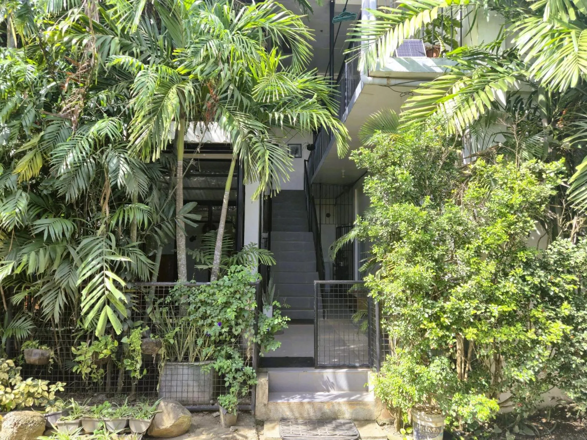 Property building in Green Turtle Backpackers Guesthouse, Puerto Princesa