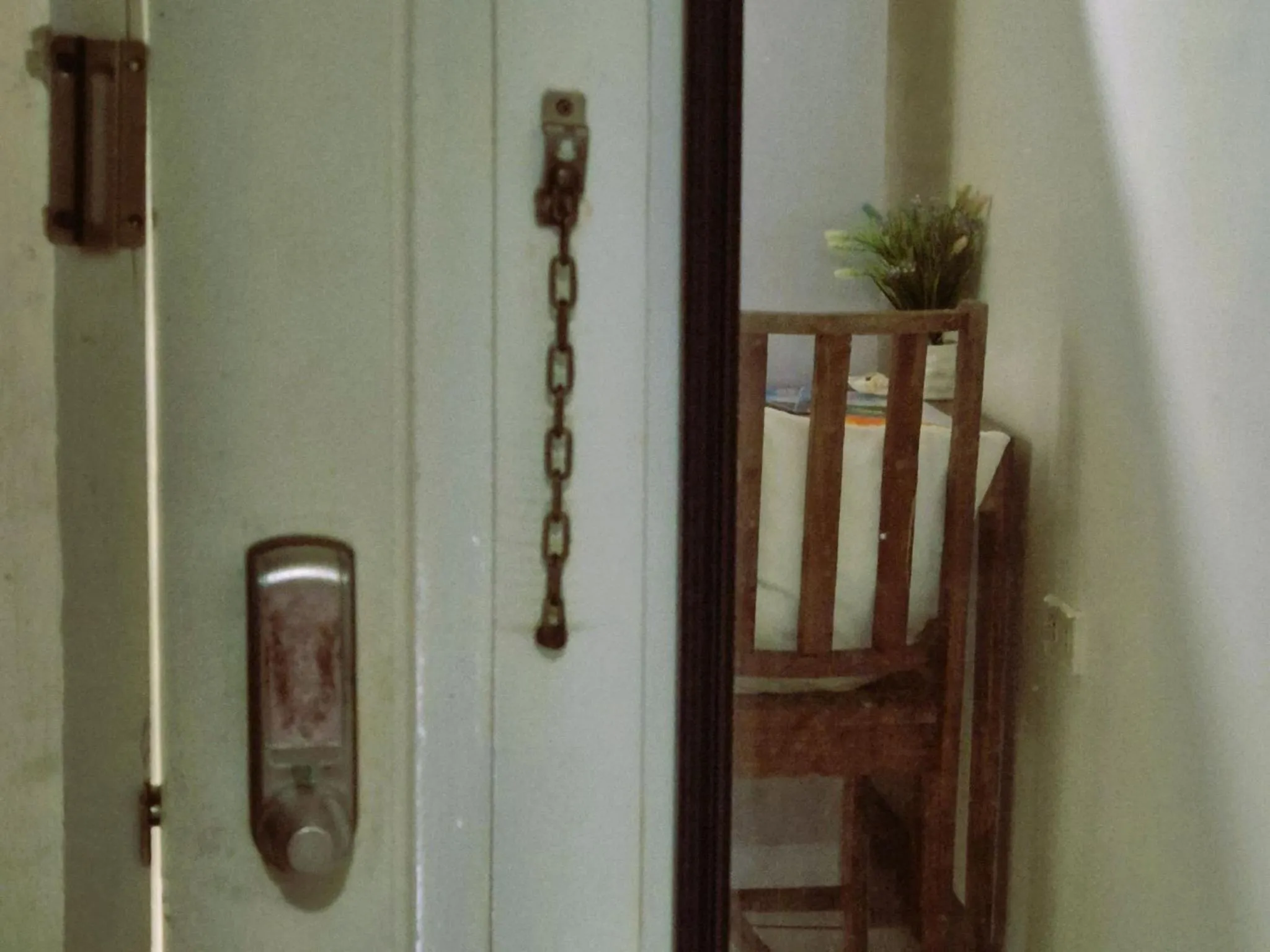 Bedroom in Green Turtle Backpackers Guesthouse, Puerto Princesa