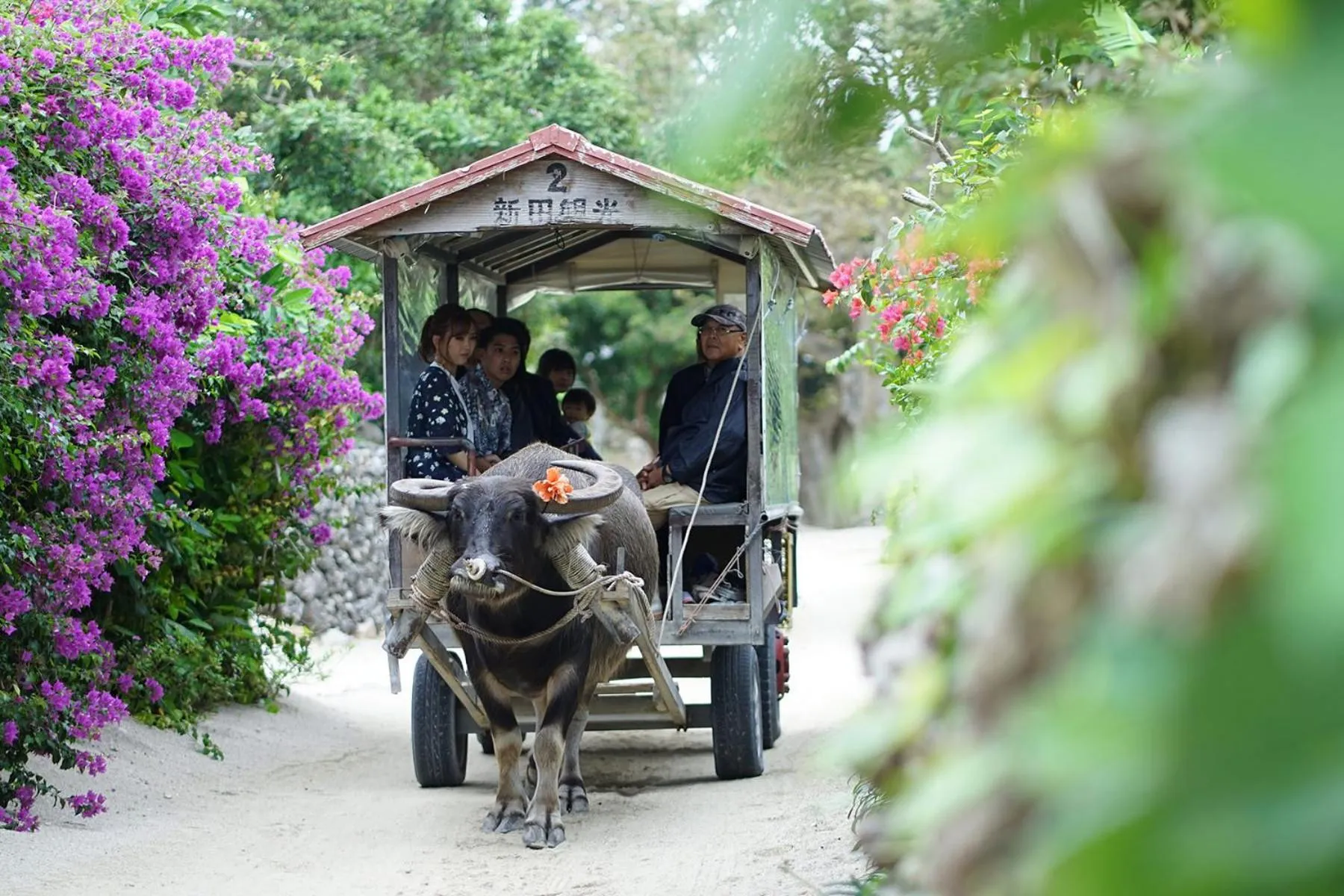 Nearby landmark in The BREAKFAST HOTEL MARCHE Ishigaki Island