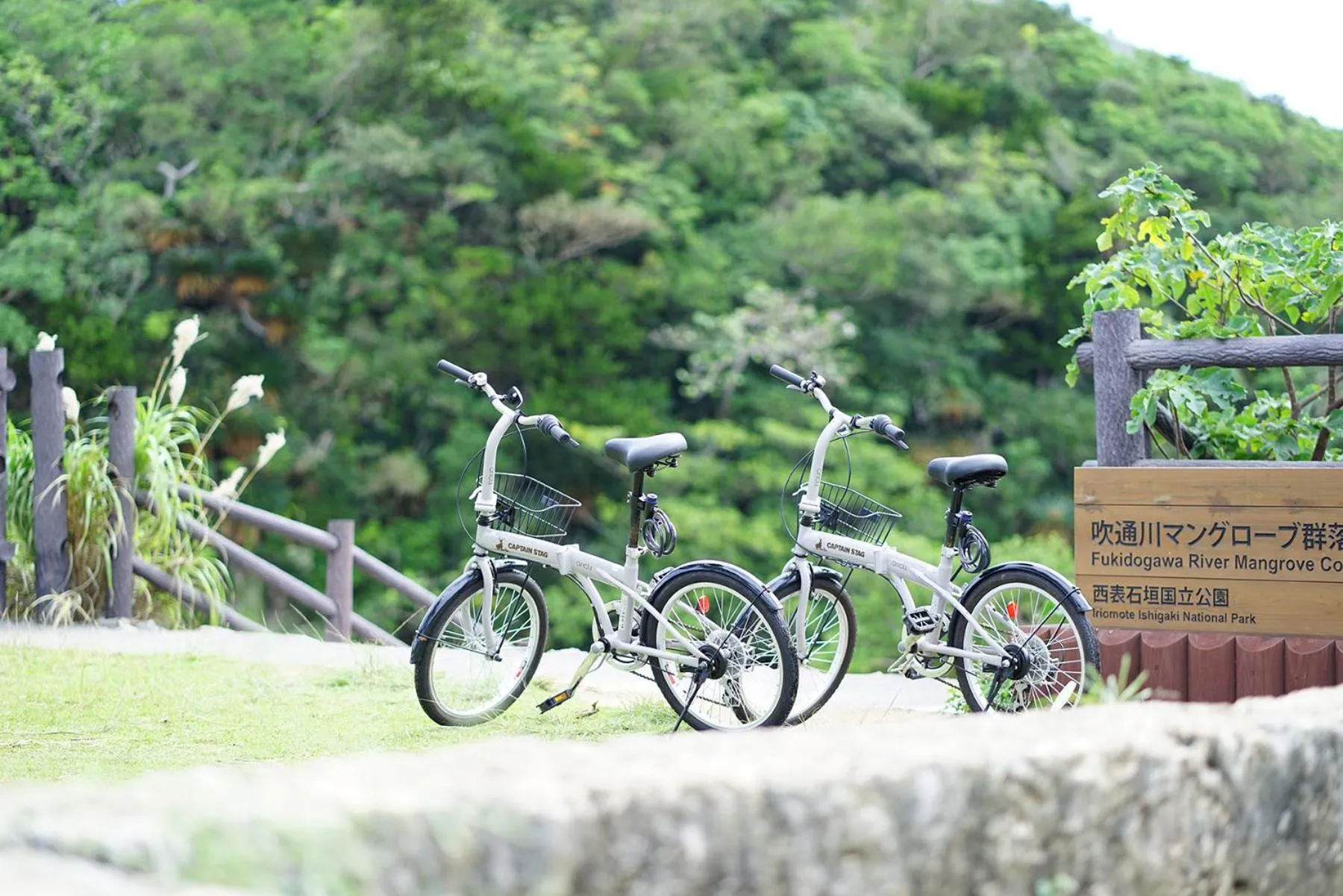 Cycling in The BREAKFAST HOTEL MARCHE Ishigaki Island