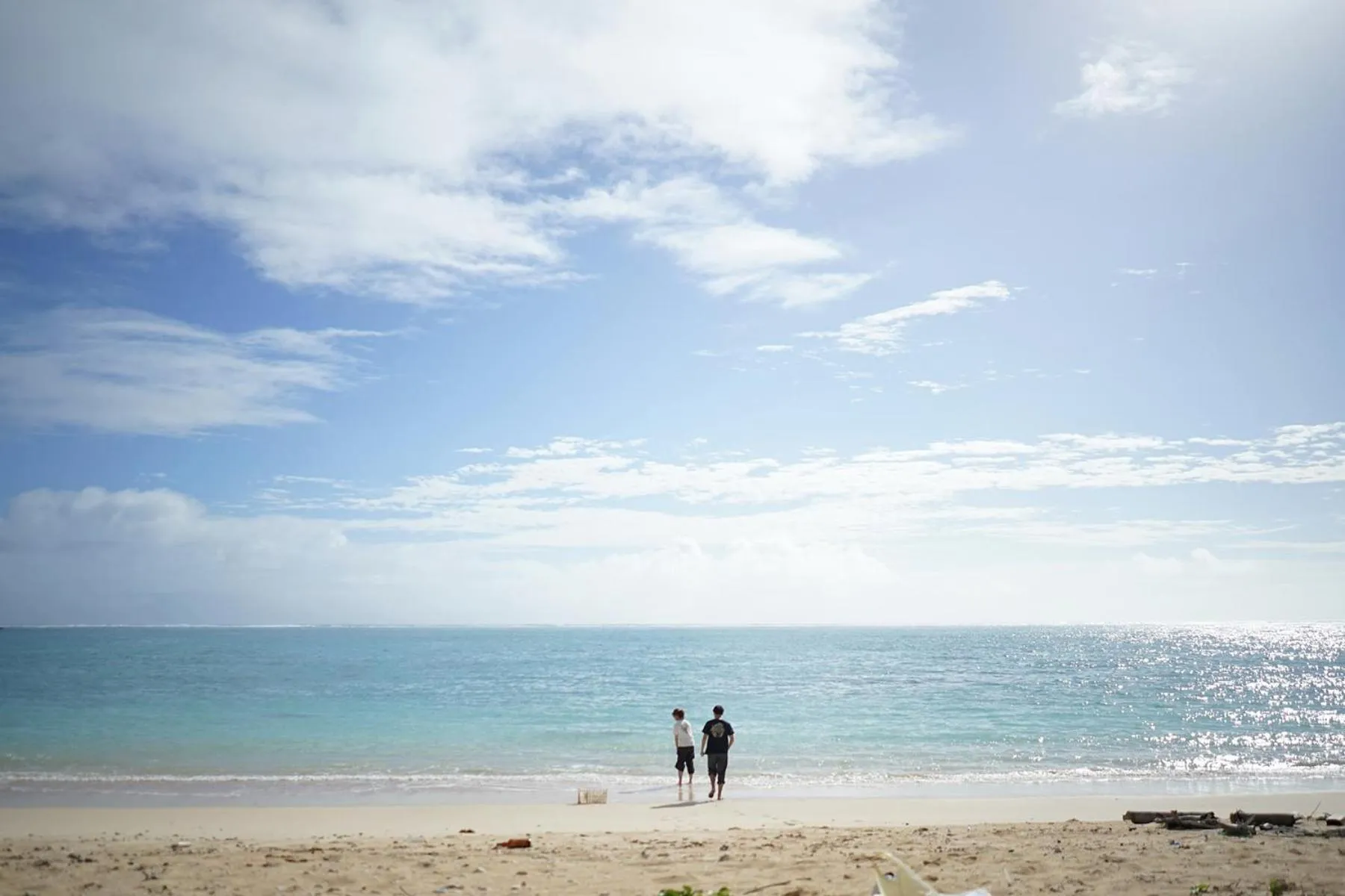 Natural landscape in The BREAKFAST HOTEL MARCHE Ishigaki Island