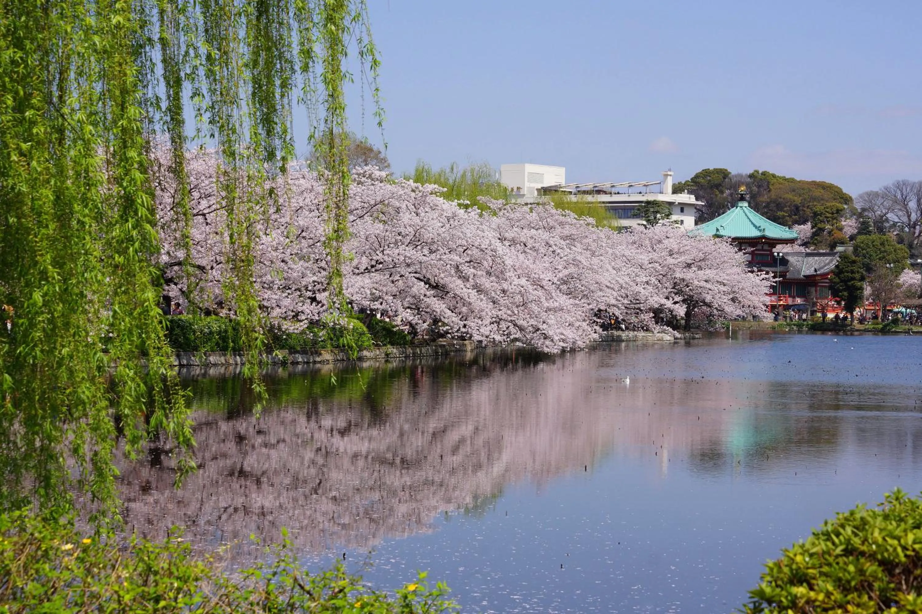 Nearby landmark in Sotetsu Fresa Inn Tokyo-Kyobashi