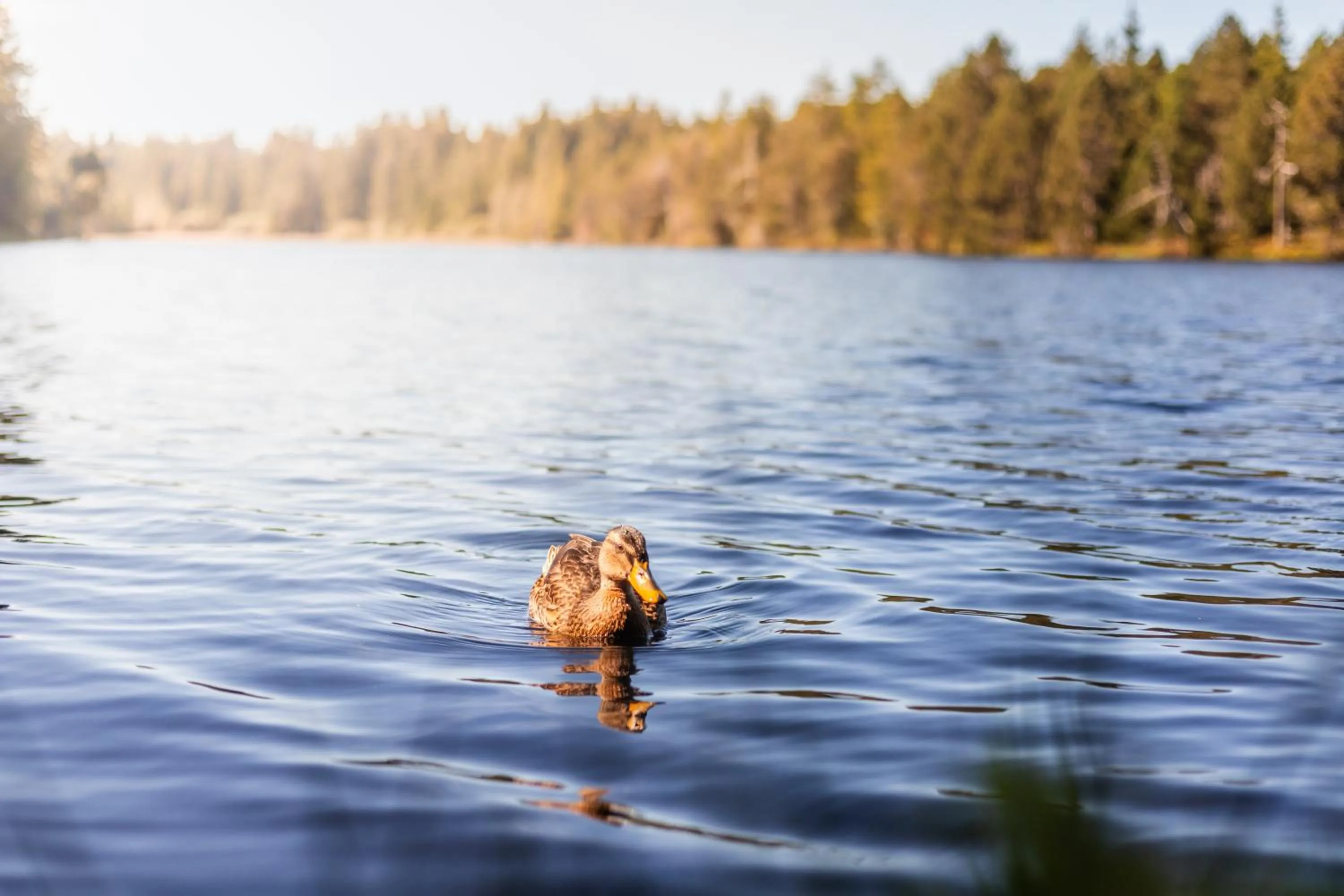 Nearby landmark in Jura Sport & Spa Resort