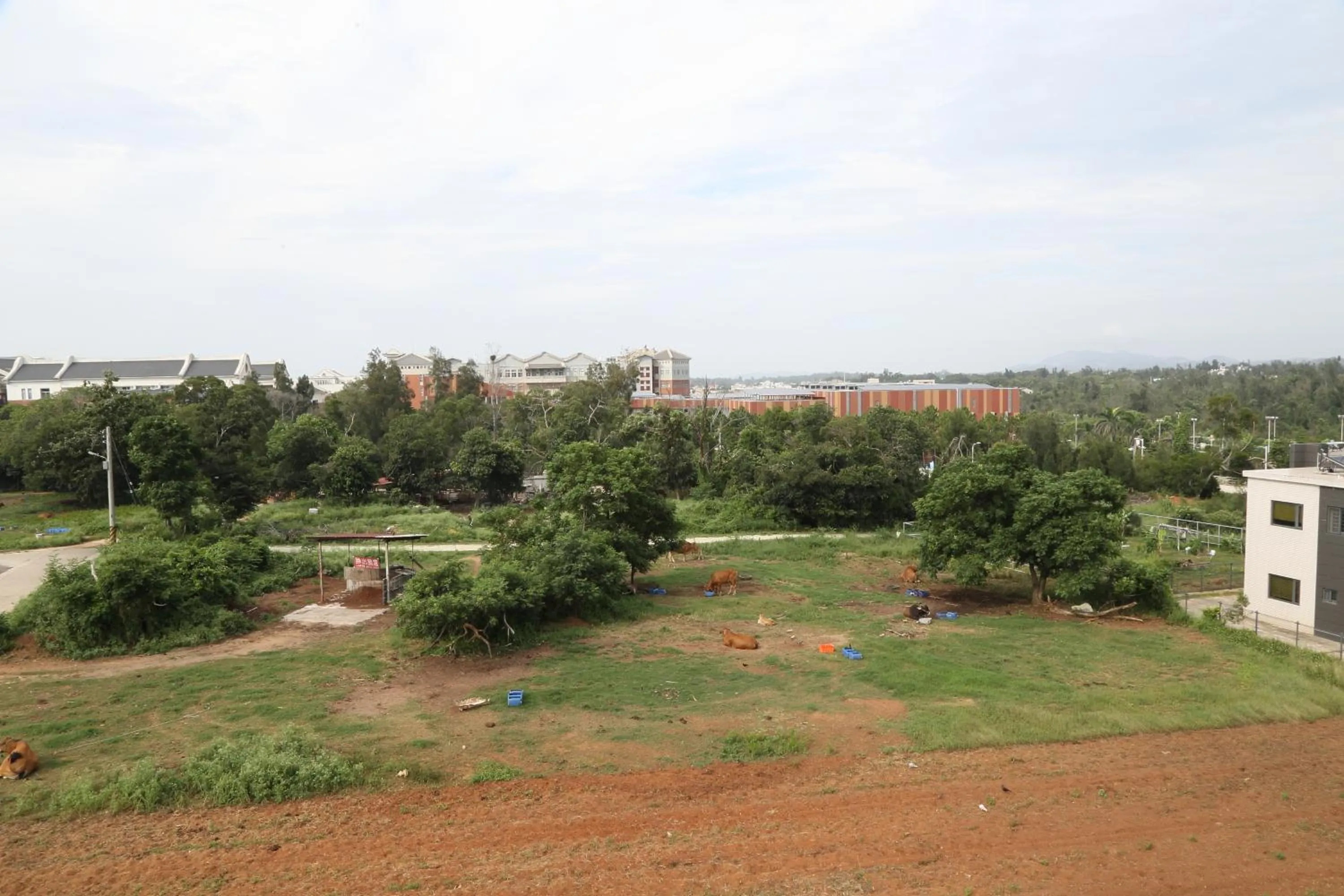 Bird's eye view in See Happiness