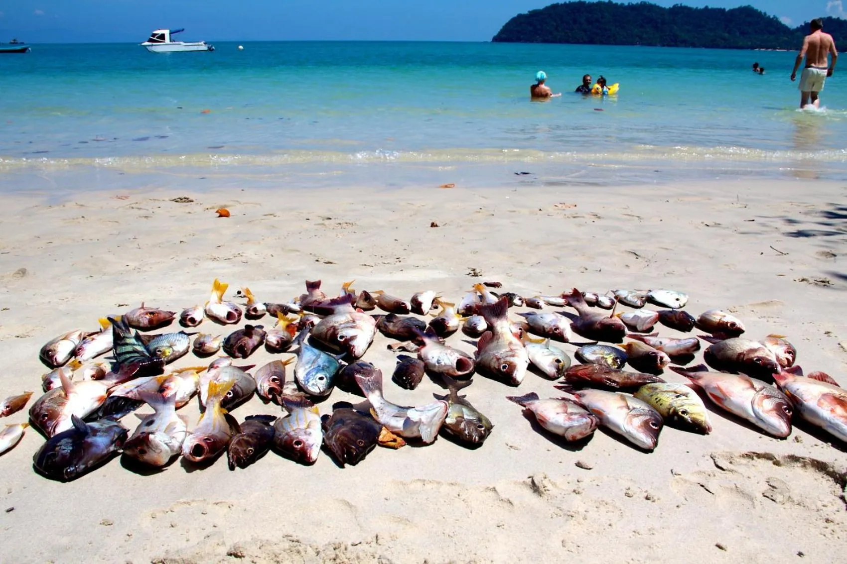 Day in Buffalo Bay Vacation Club