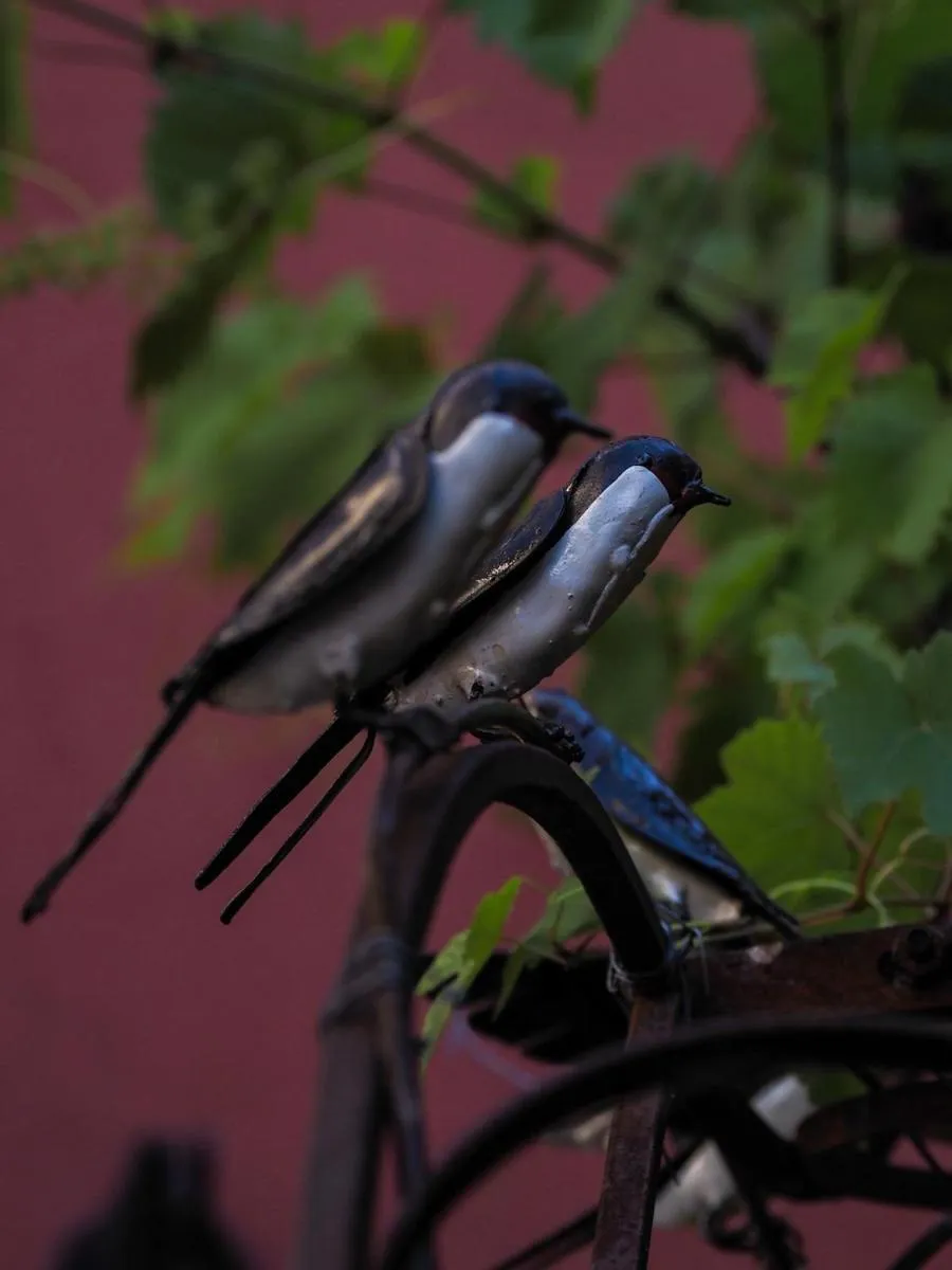 Les Chambres de la Weiss