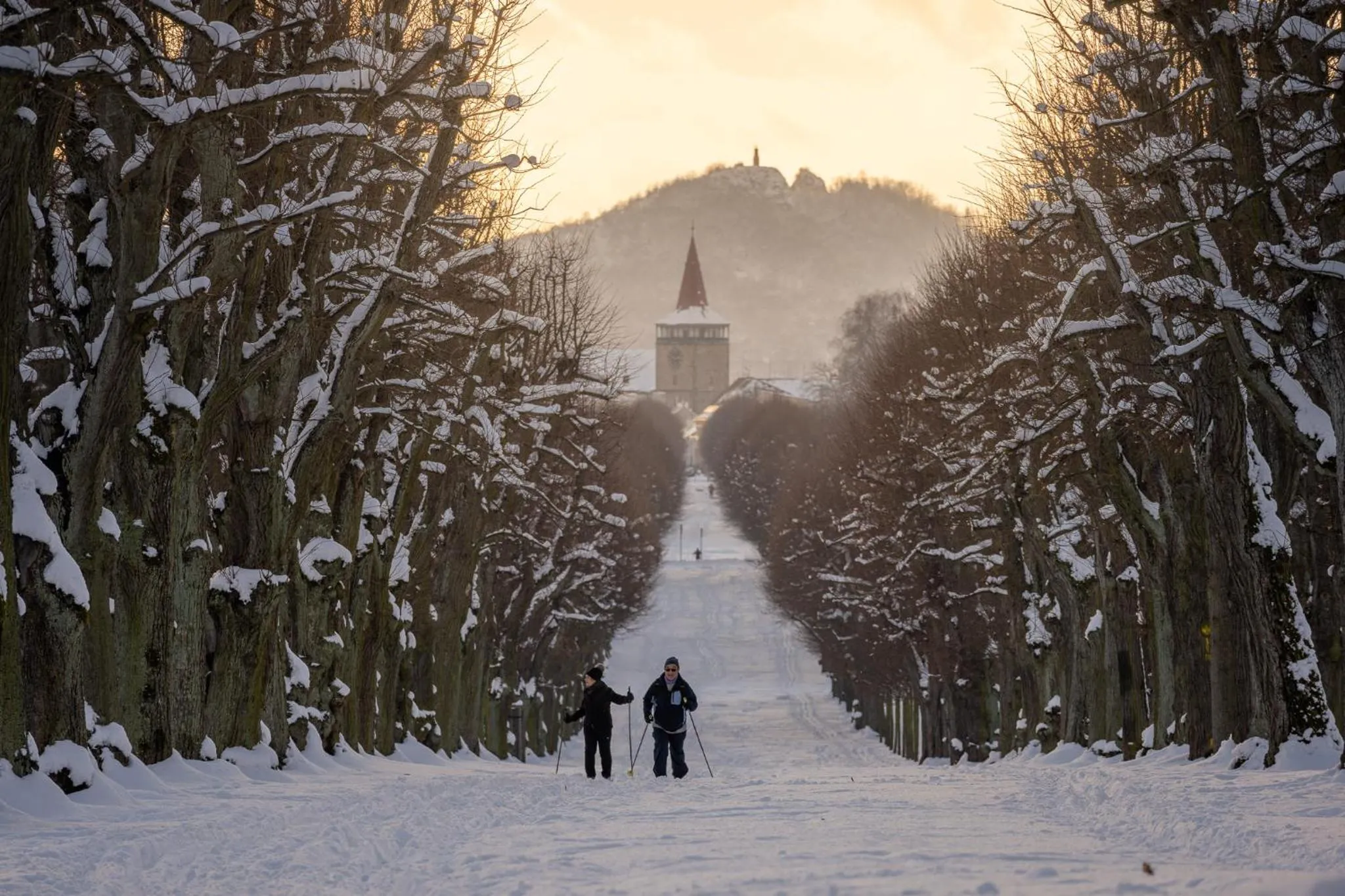 Hotel reSTART Superior