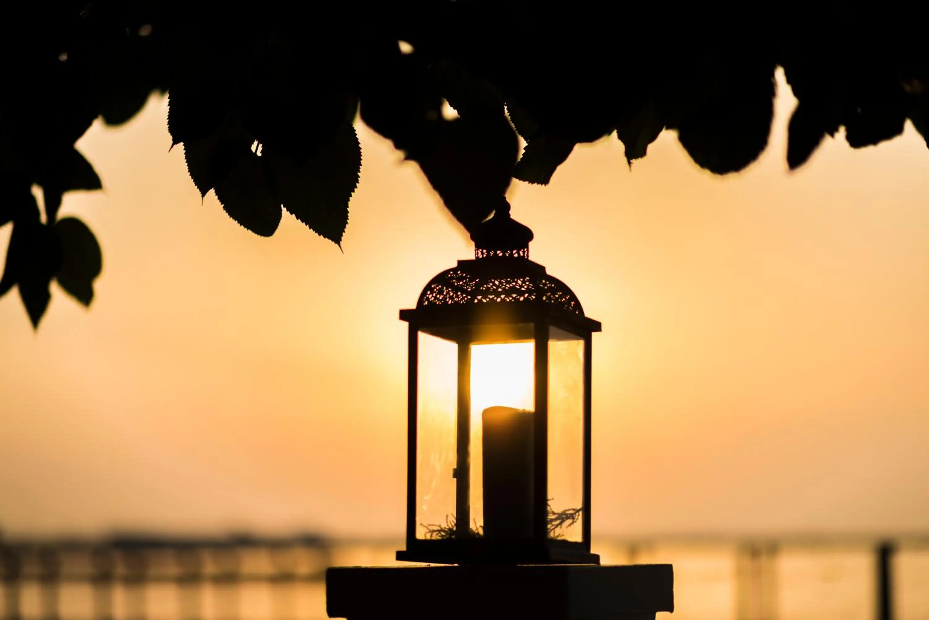 Beach in Hotel Restaurant Juanito Platja