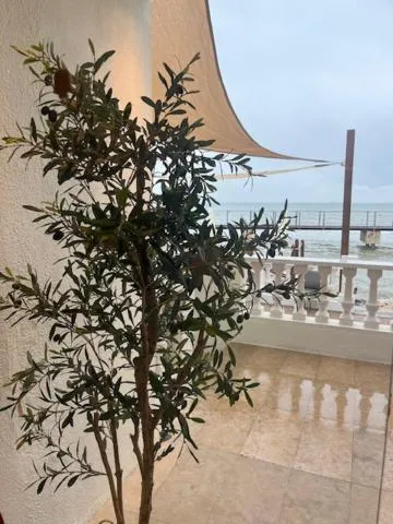 Restaurant/places to eat in Hotel Restaurant Juanito Platja