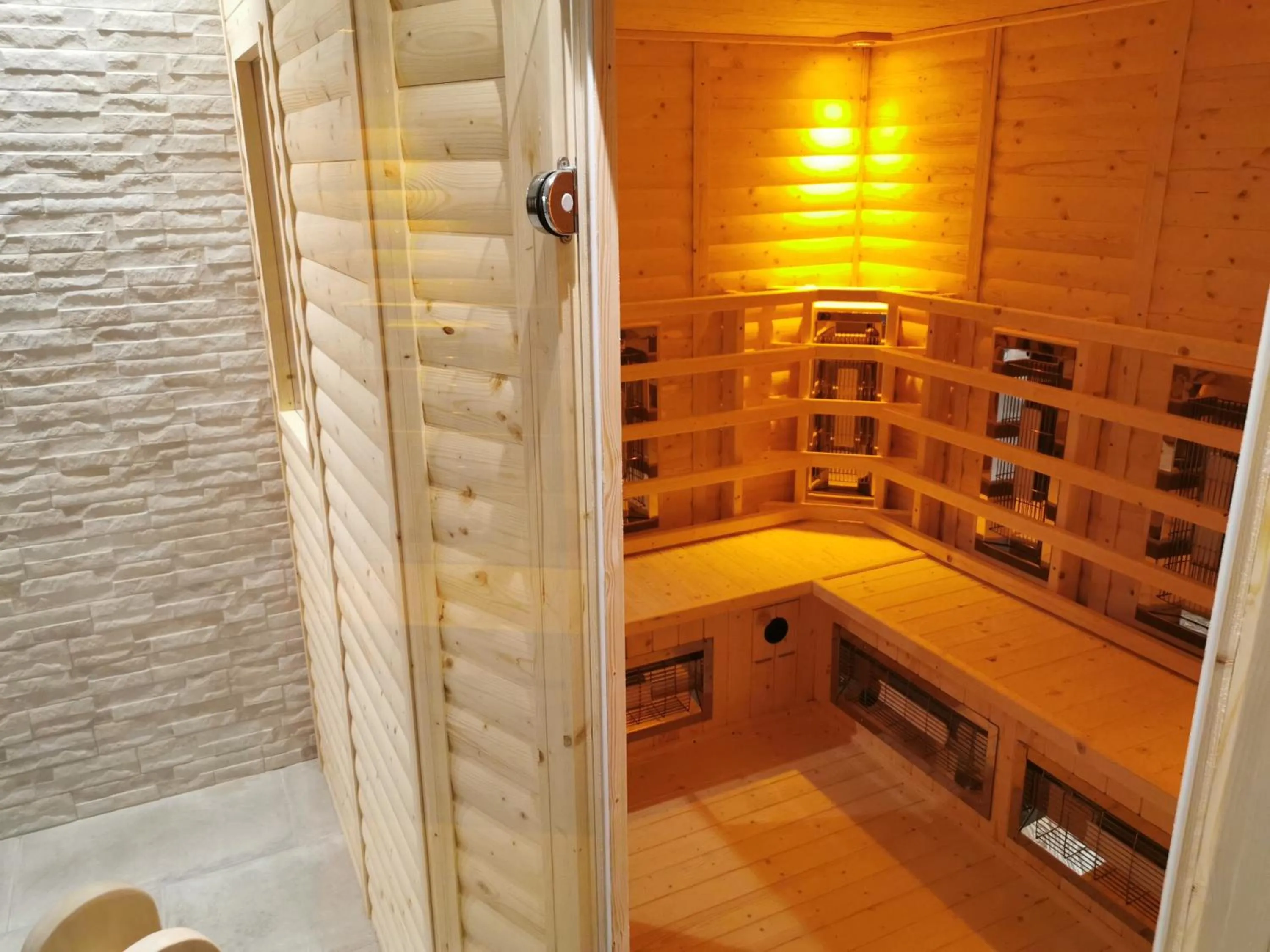 Sauna in The Beeches Hotel & Leisure Club