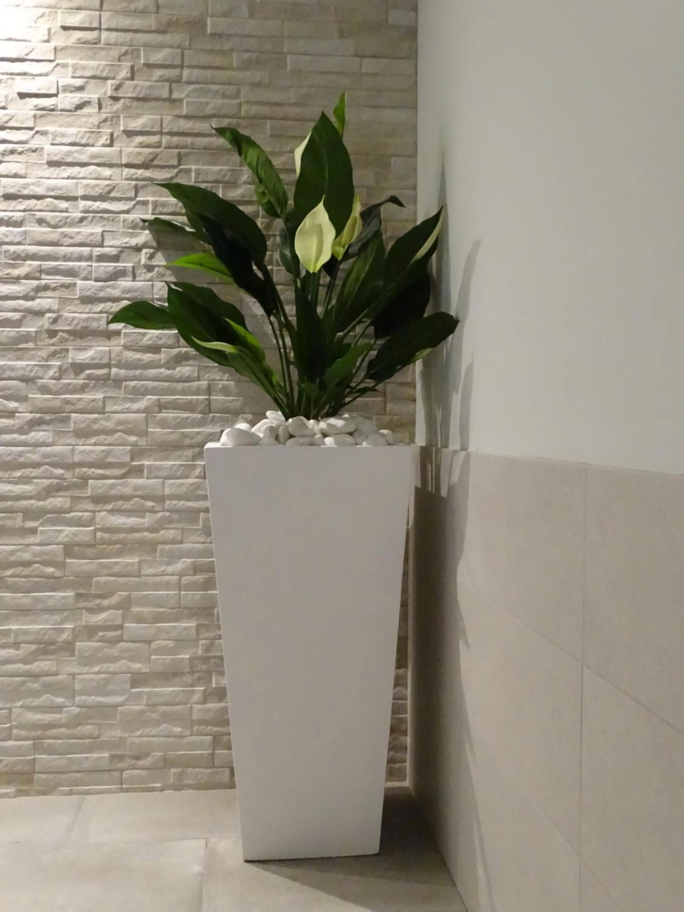 Fitness centre/facilities in The Beeches Hotel & Leisure Club