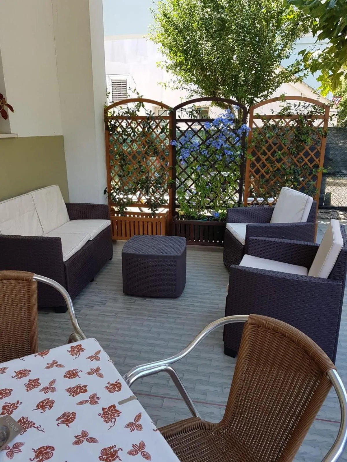 Garden in Hotel Carmen Viserba