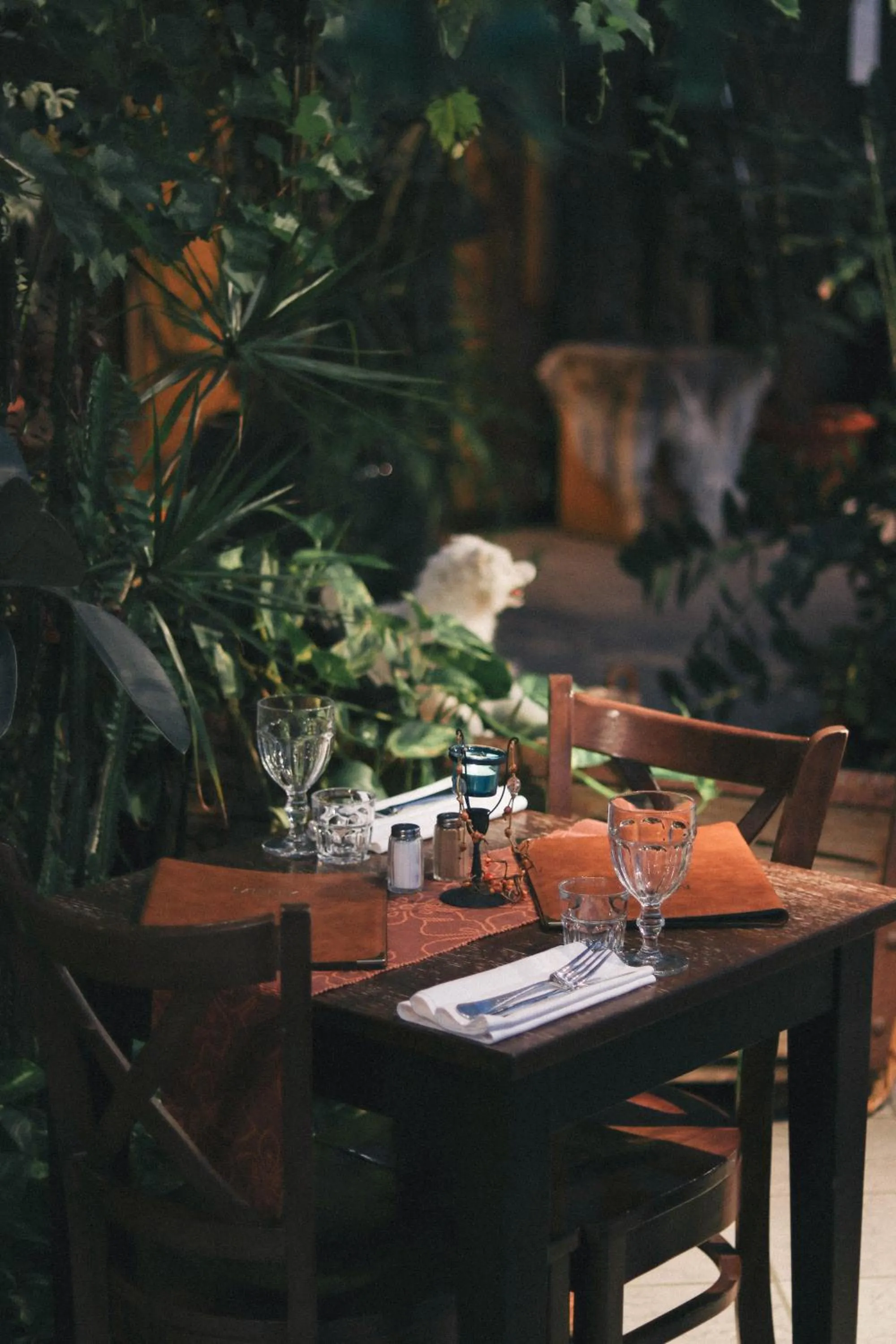 Restaurant/places to eat in Mary-Ann's Polarrigg