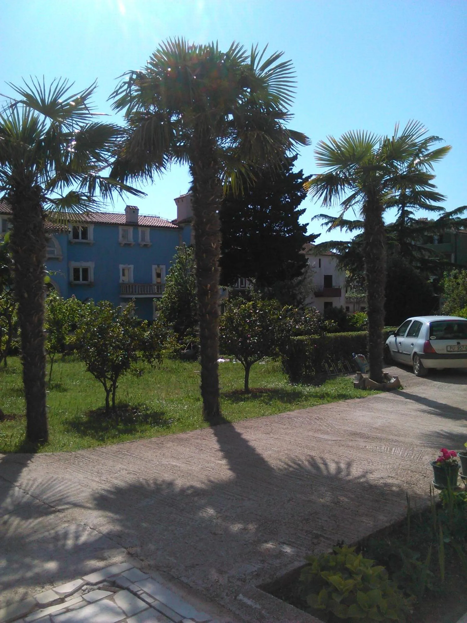 Garden in Apartments Zova