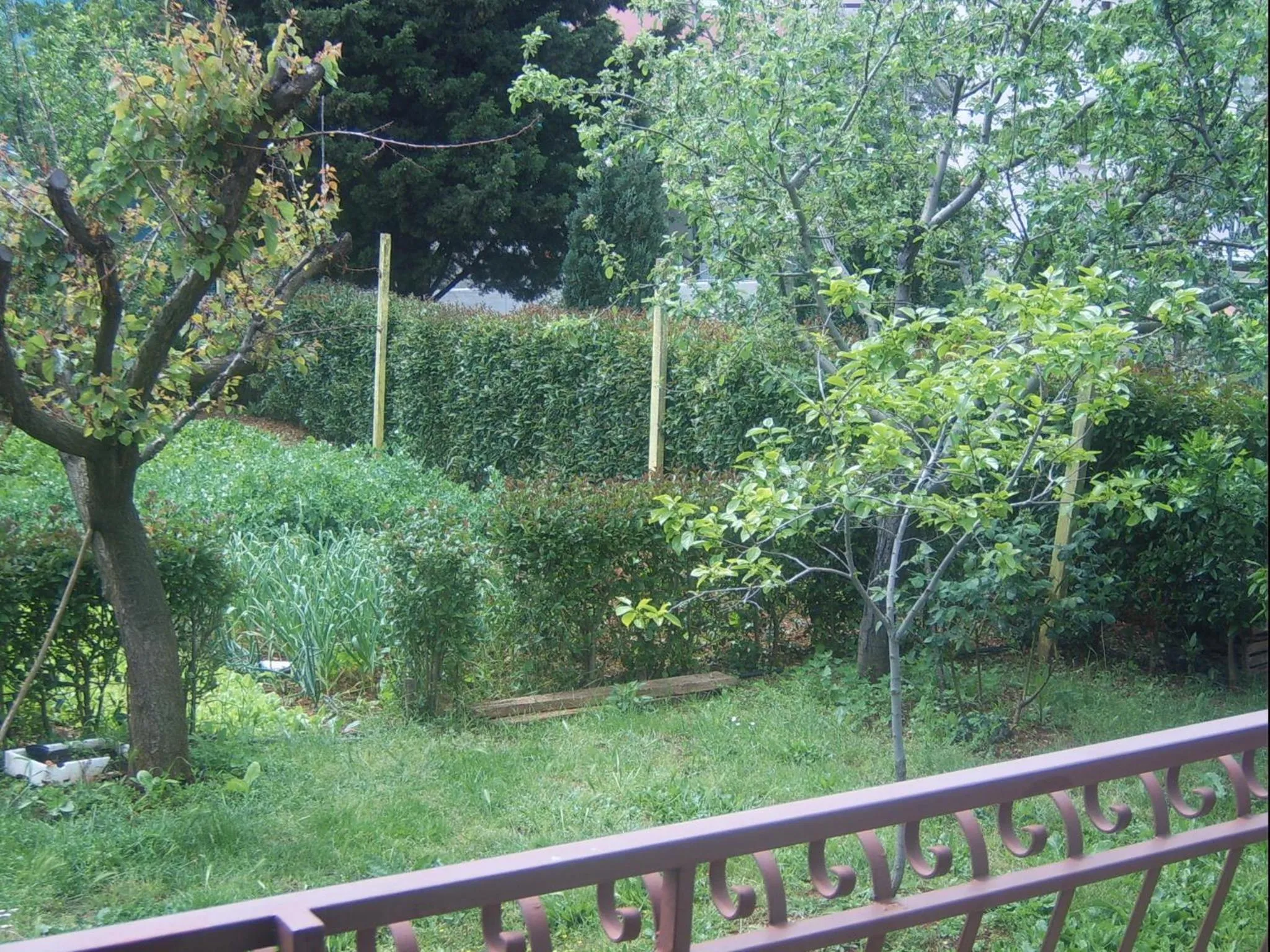 Garden in Apartments Zova