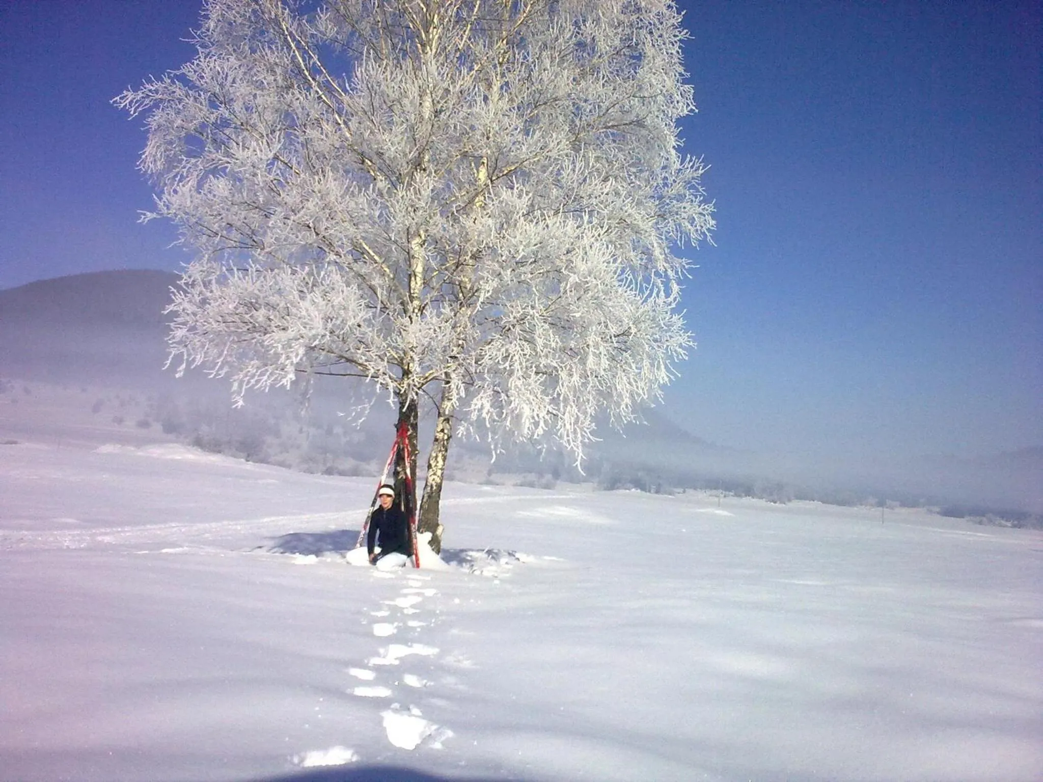 Winter in Hotel Rakitna