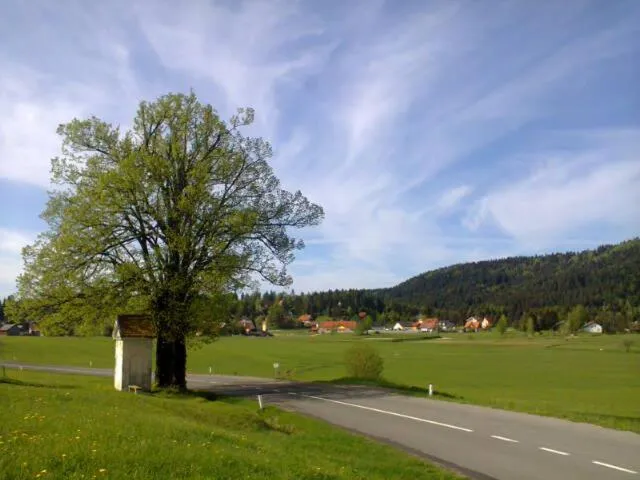 Neighbourhood in Hotel Rakitna