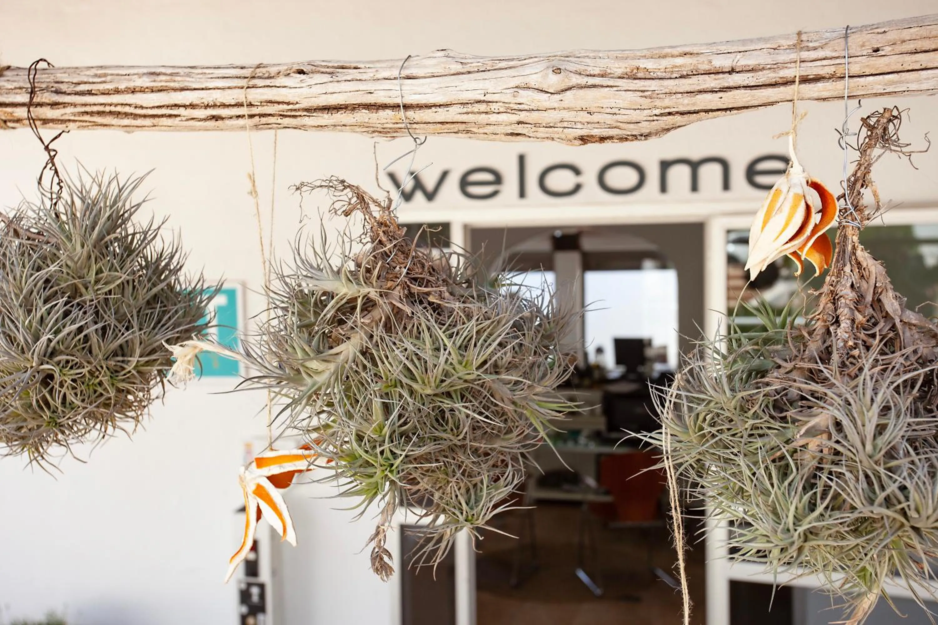 Lobby or reception in BJ Apartamentos Europa