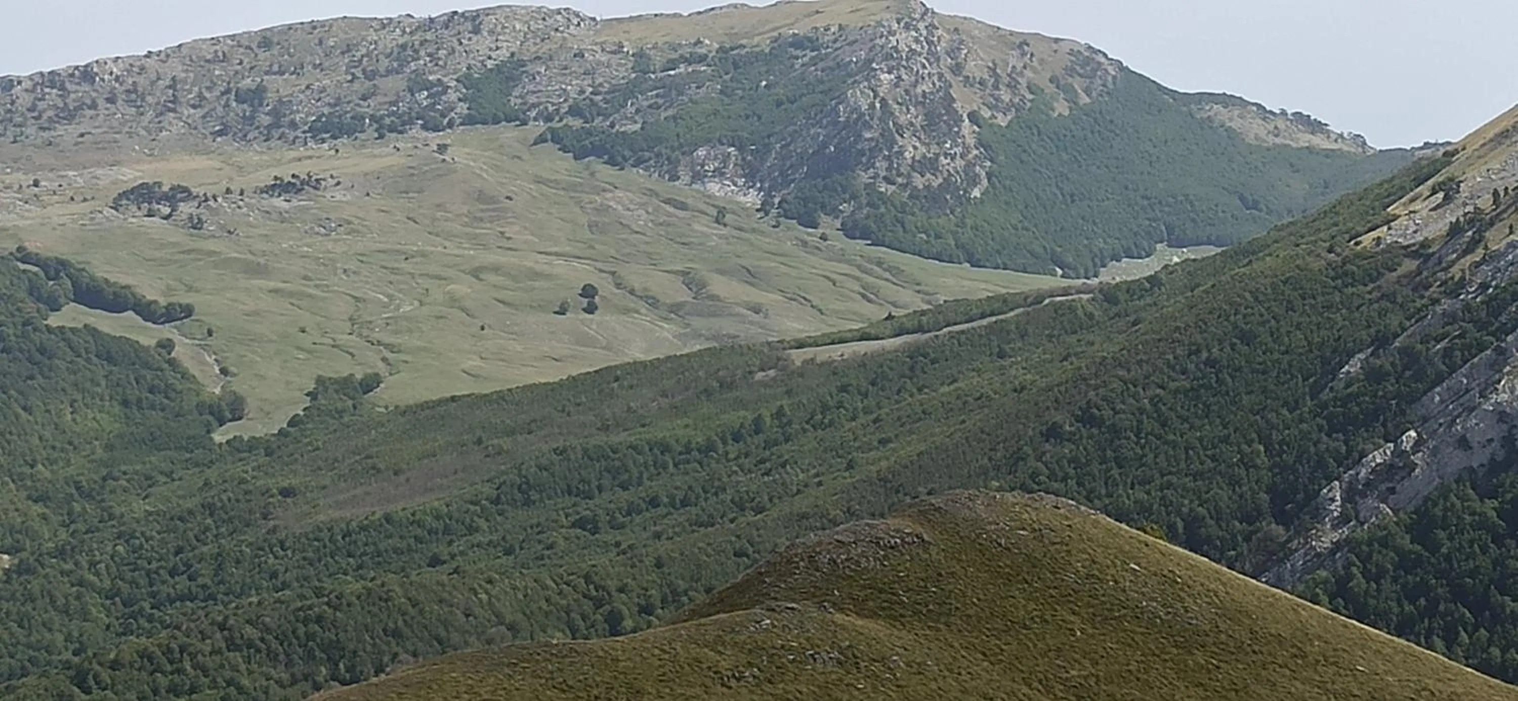 B&b il campanile di leone Pina