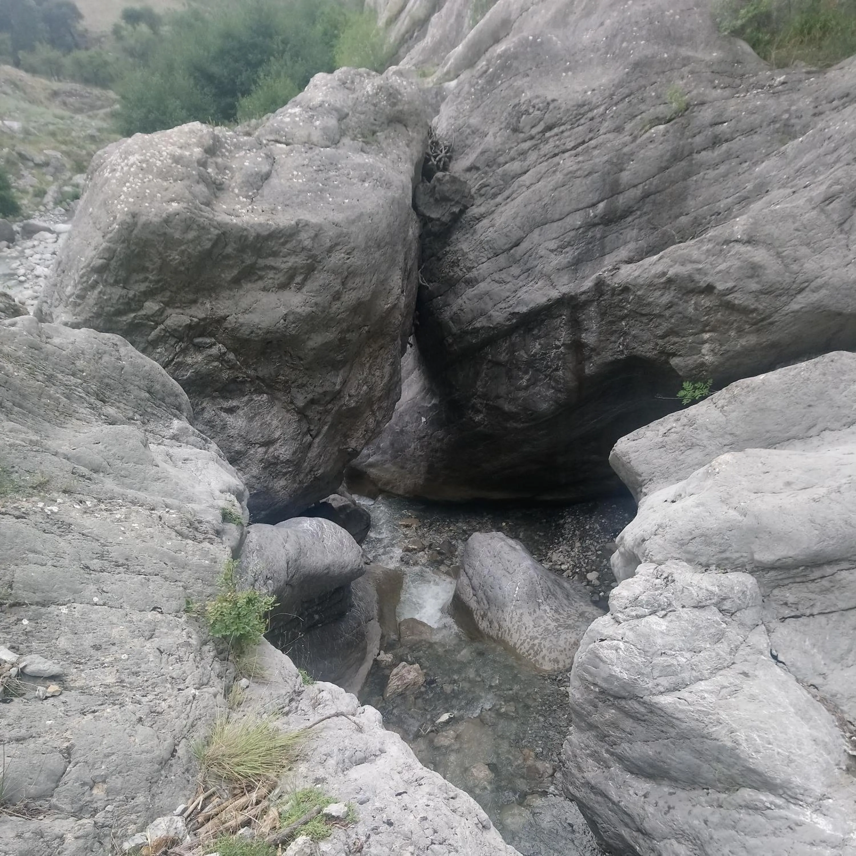 Natural landscape in B&b il campanile di leone Pina