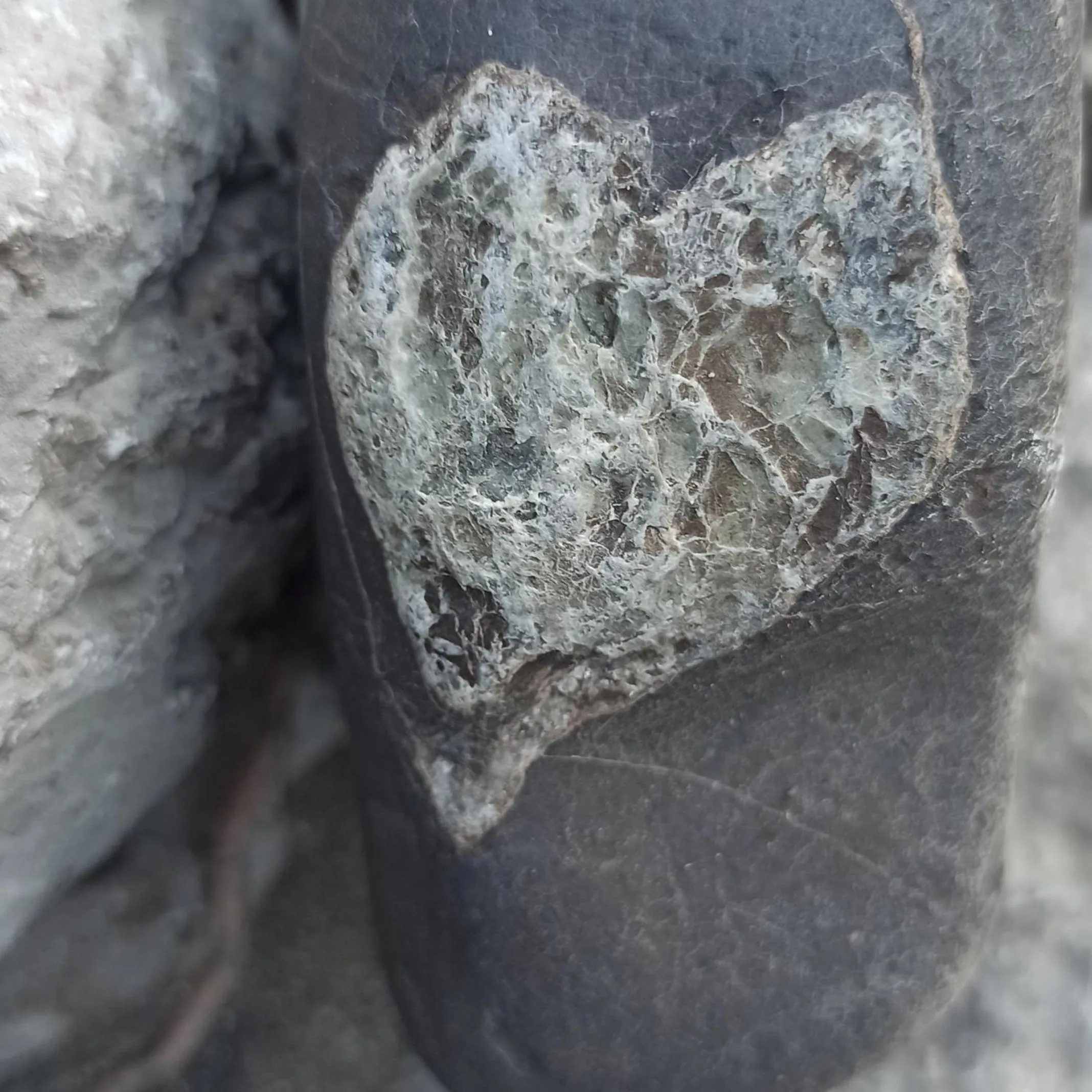 B&b il campanile di leone Pina