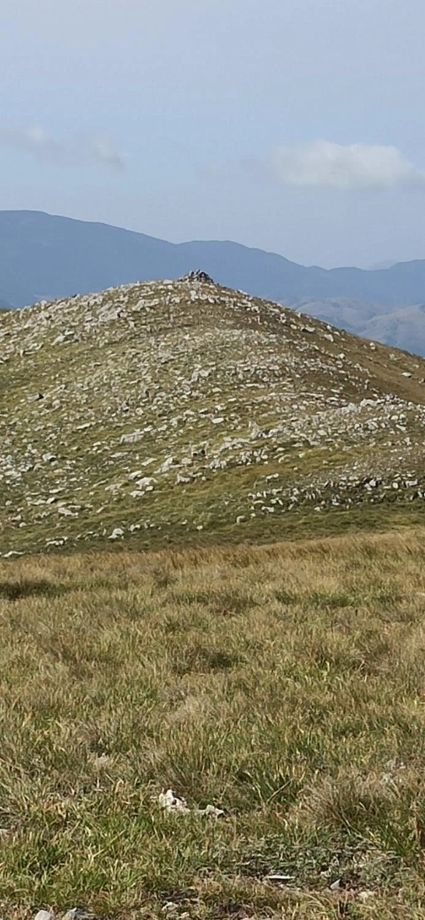 B&b il campanile di leone Pina