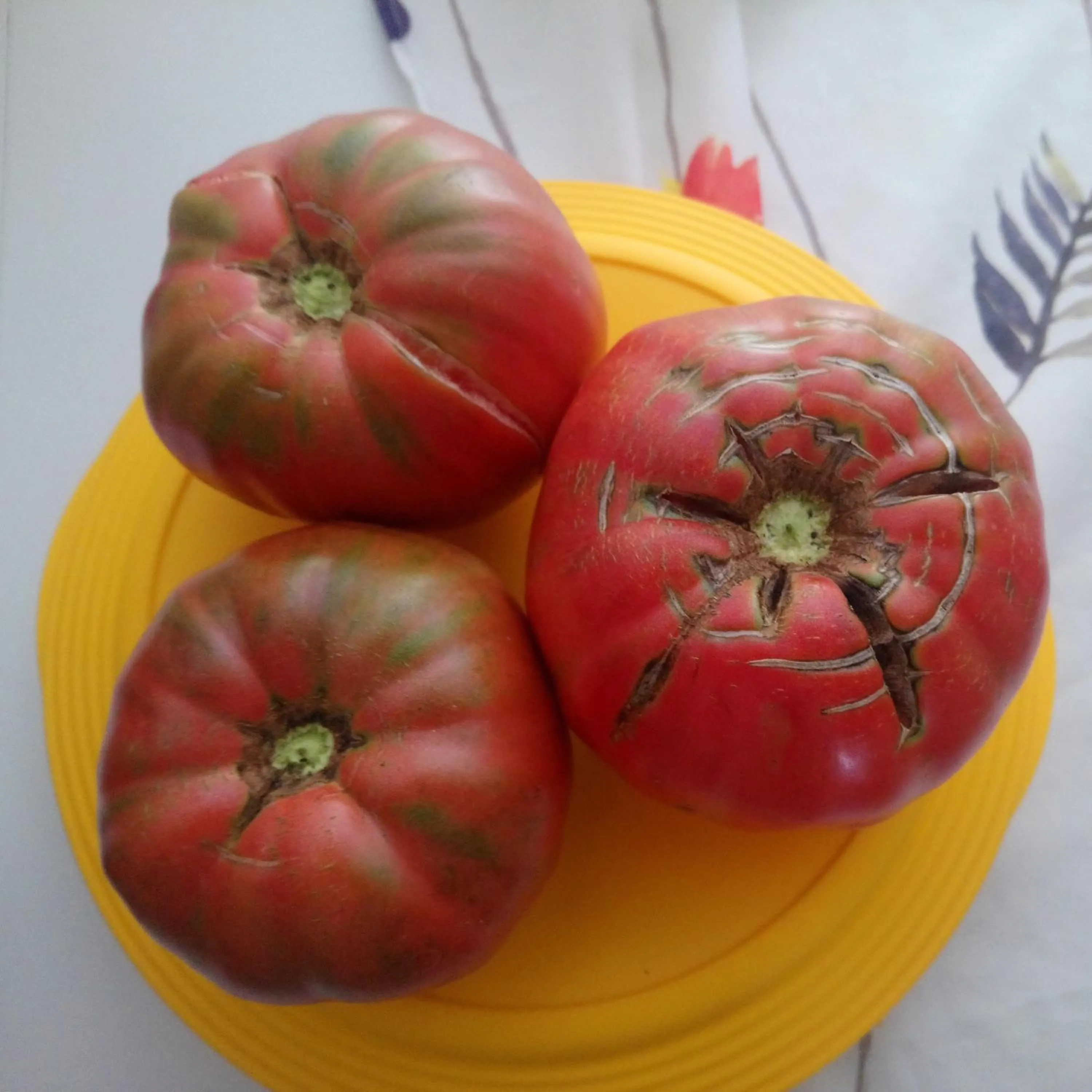 Food close-up in B&b il campanile di leone Pina