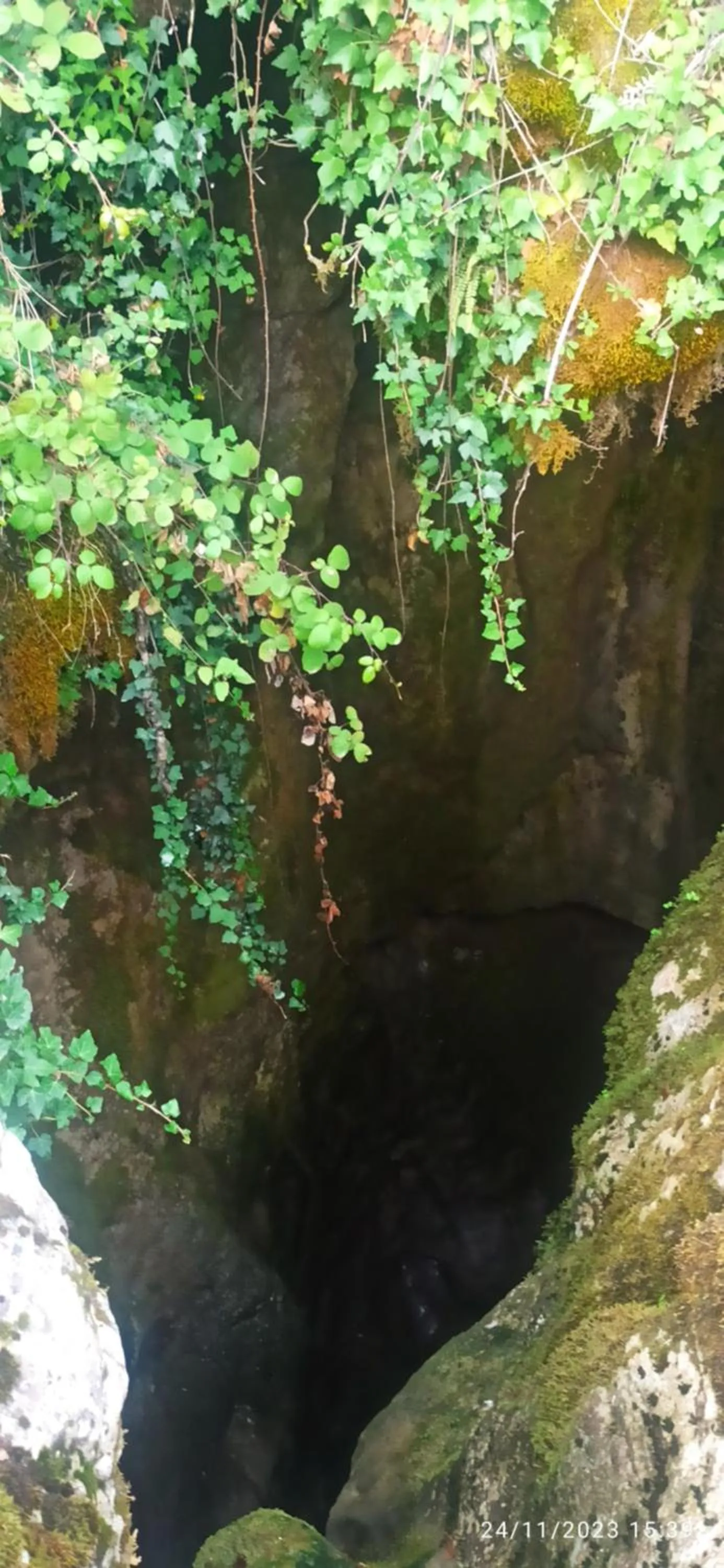 B&b il campanile di leone Pina