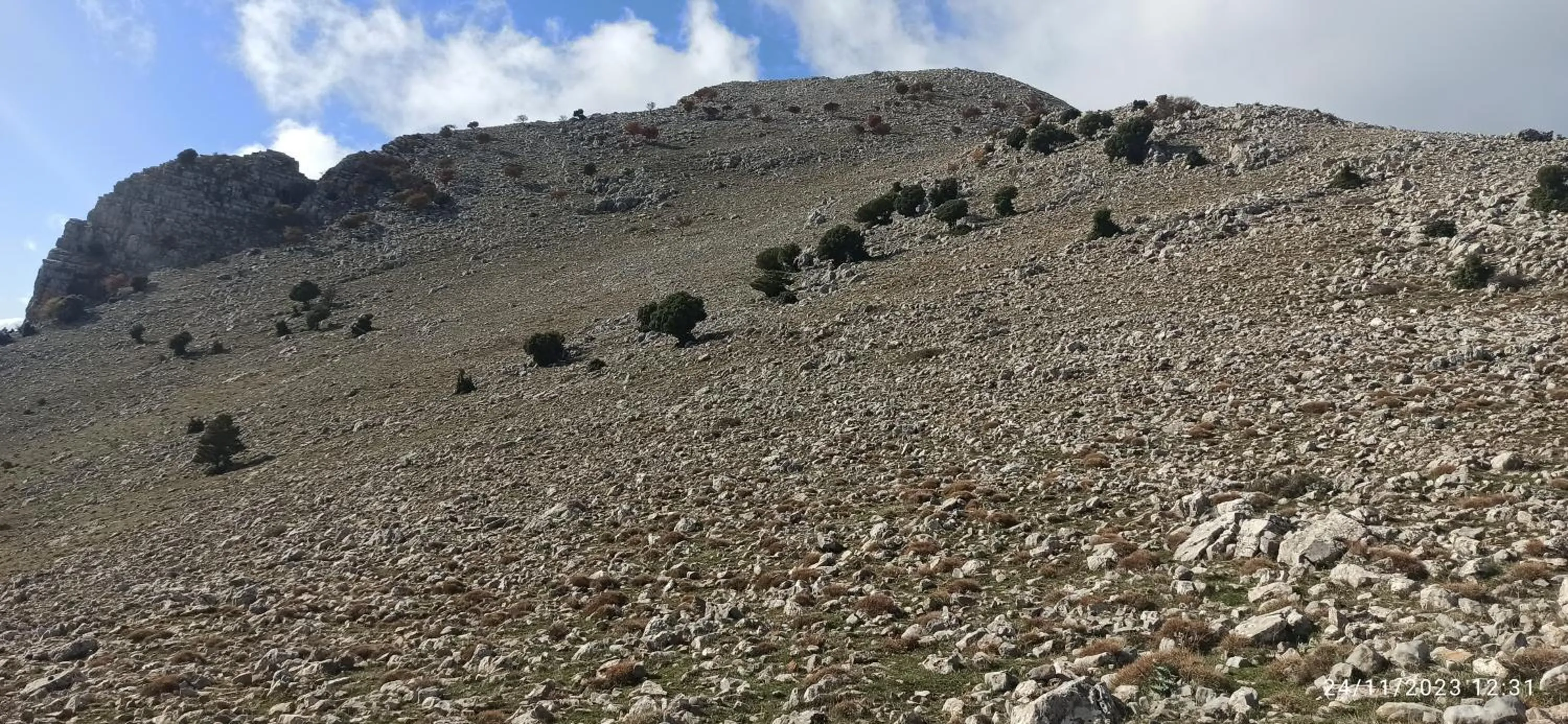 B&b il campanile di leone Pina