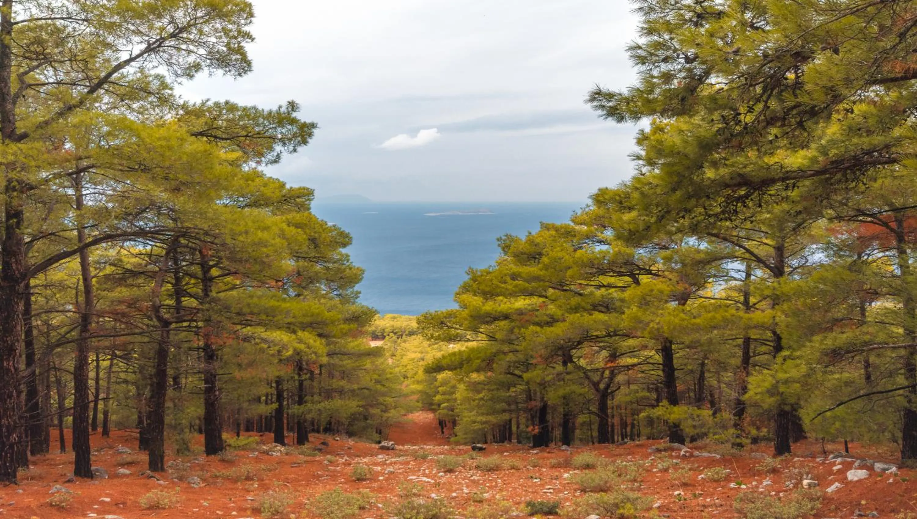 Natural landscape in Limeri Traditional Guest House