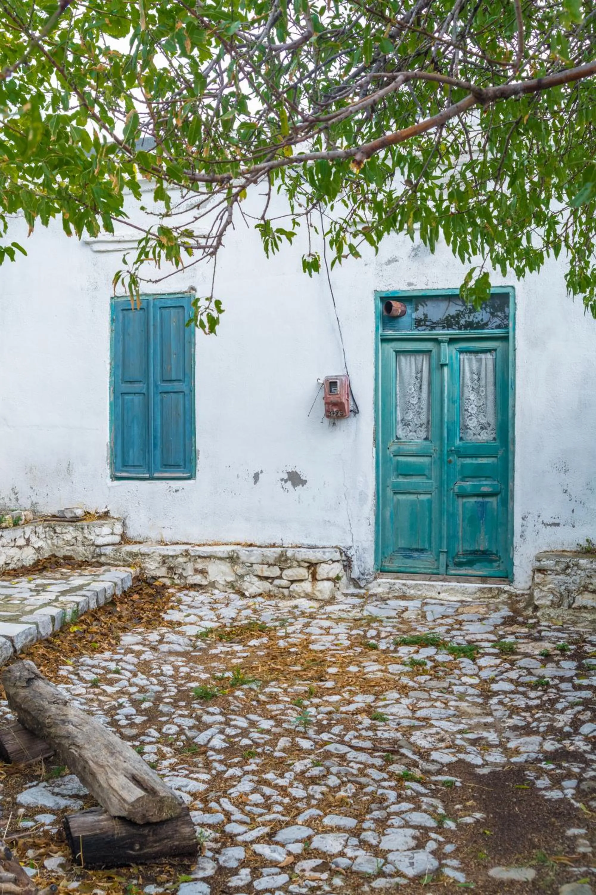 Area and facilities in Limeri Traditional Guest House
