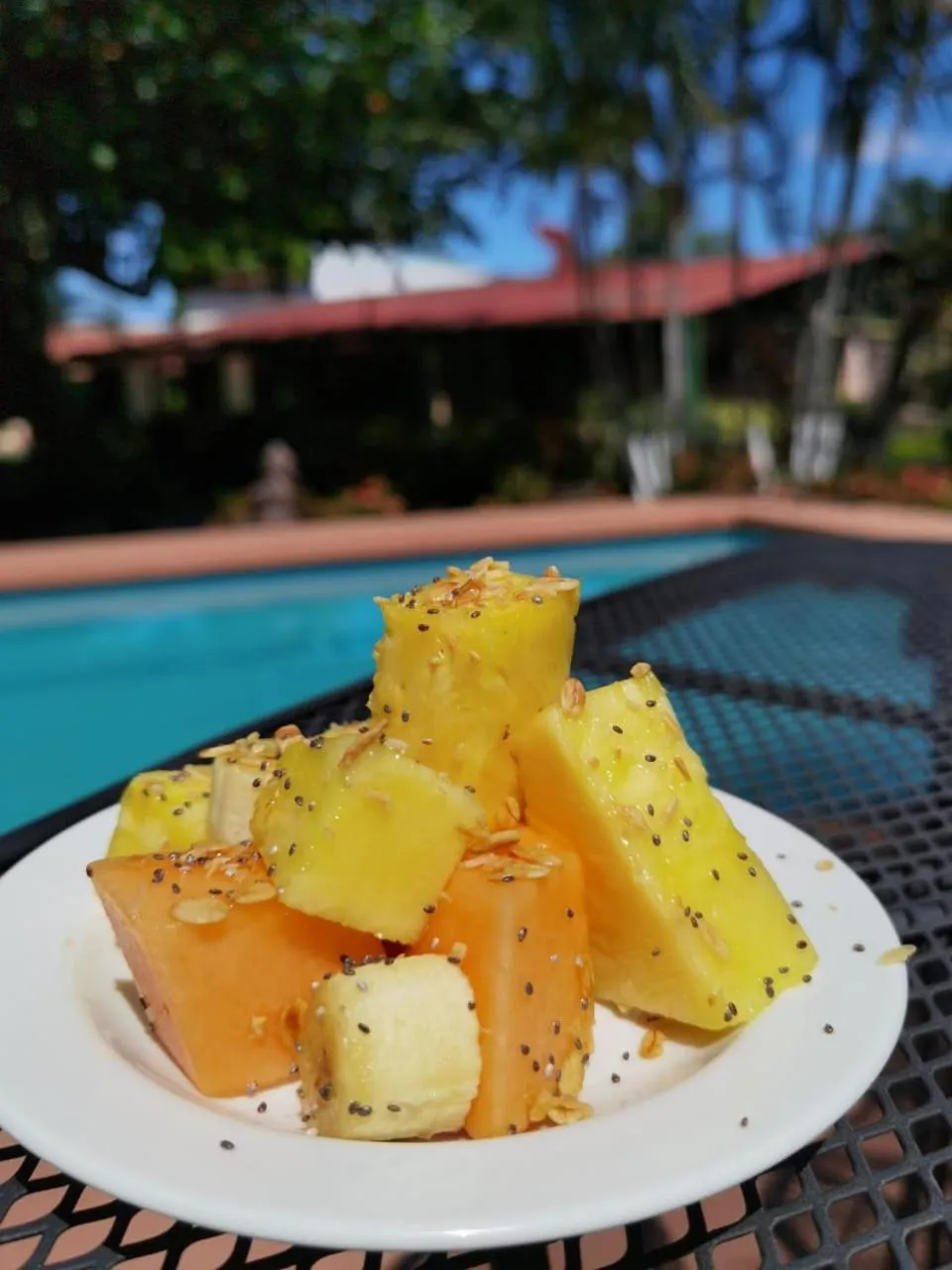 Food in Hotel Bristol Aeropuerto