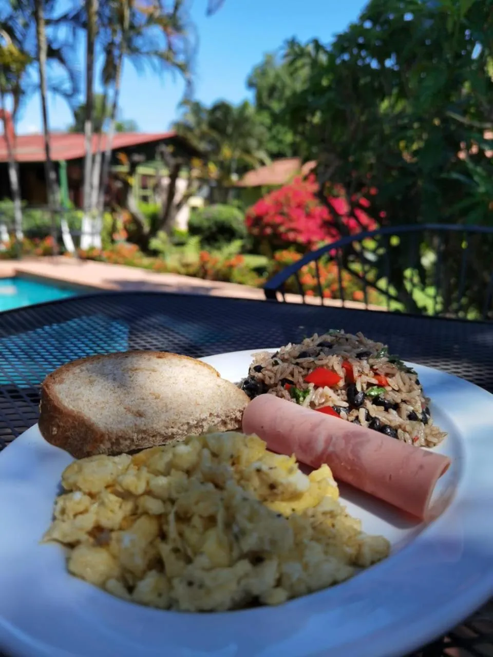 Food in Hotel Bristol Aeropuerto