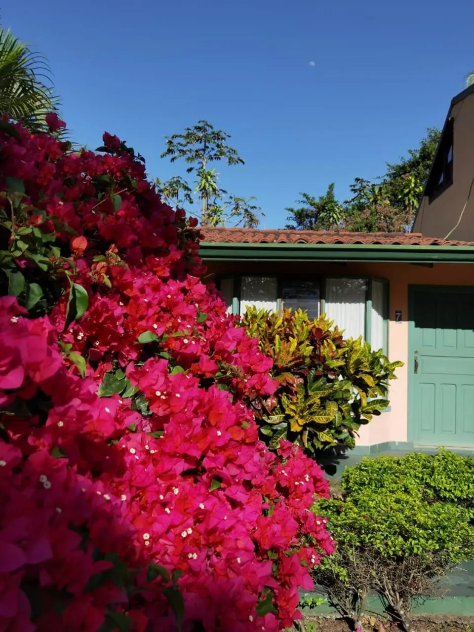 Garden in Hotel Bristol Aeropuerto