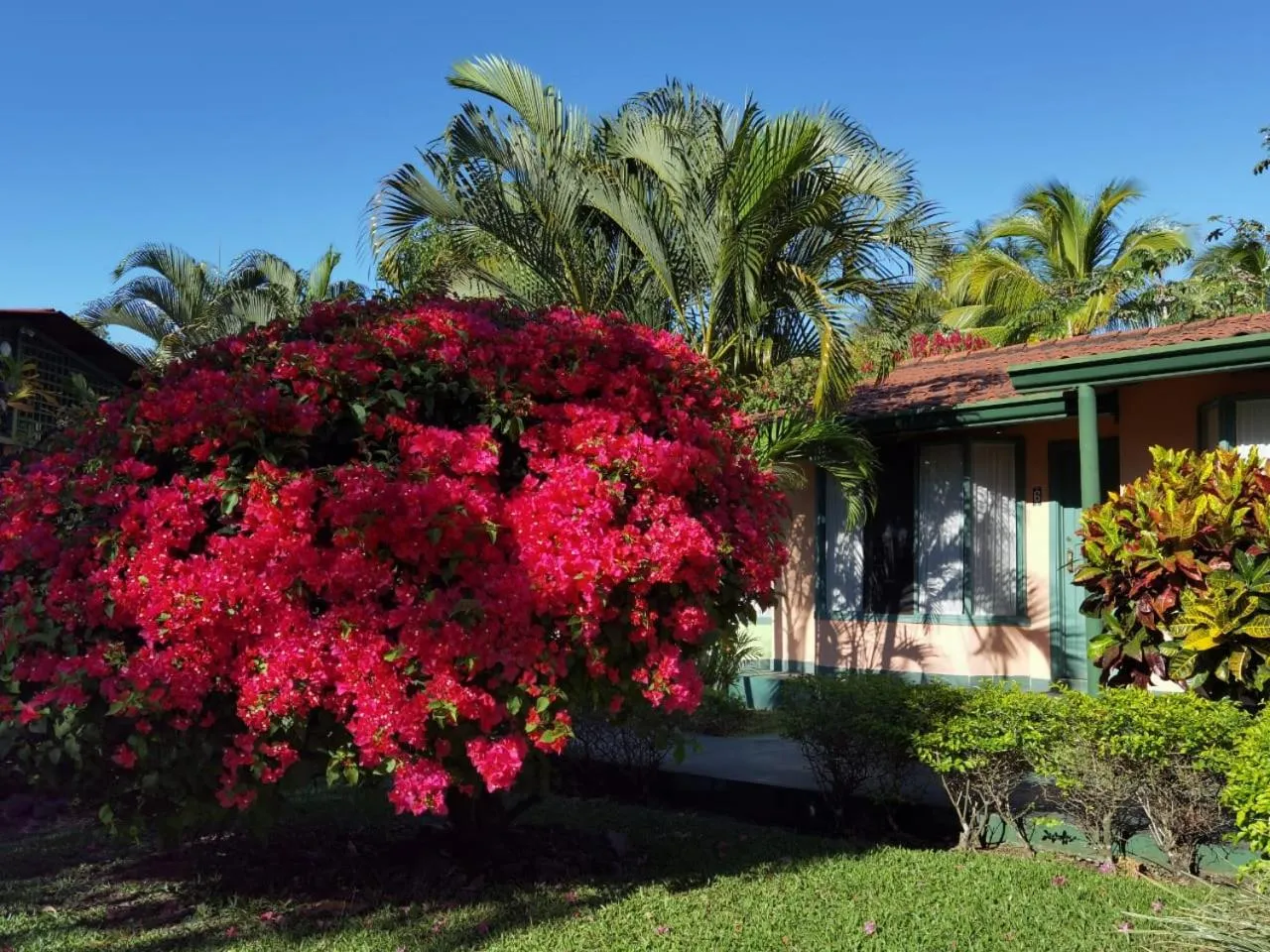 Garden in Hotel Bristol Aeropuerto