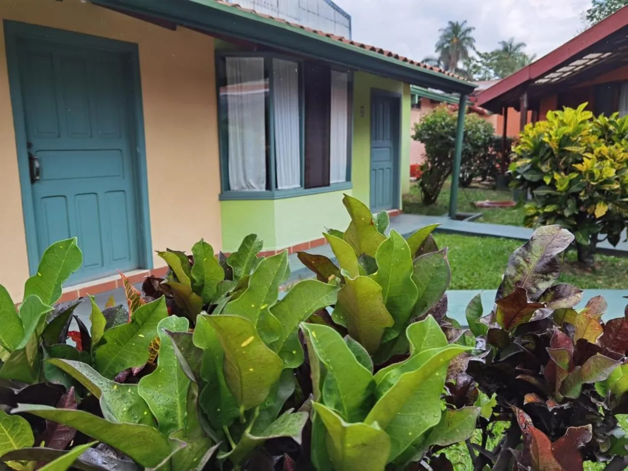Patio in Hotel Bristol Aeropuerto