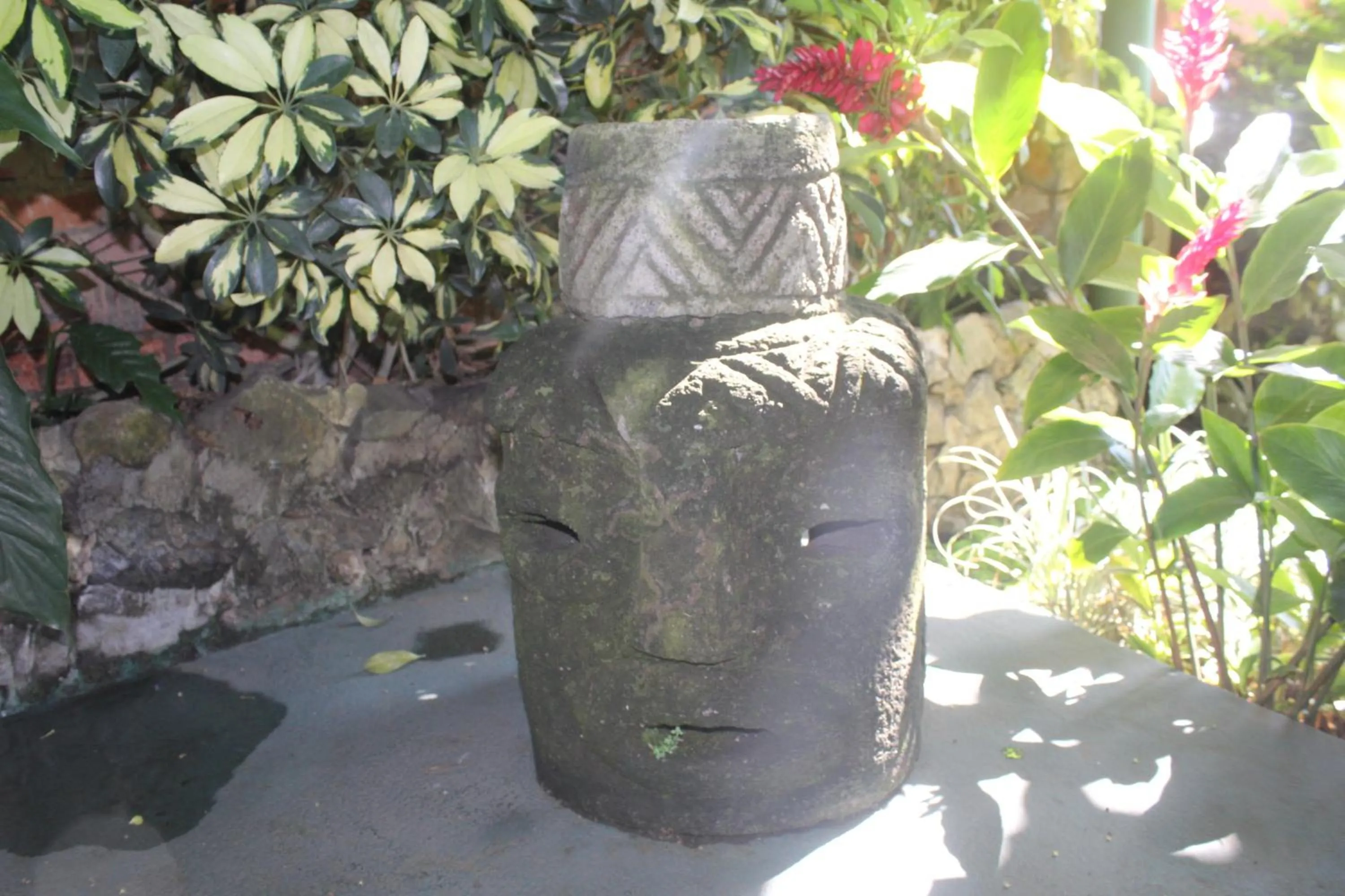 Garden in Hotel Bristol Aeropuerto