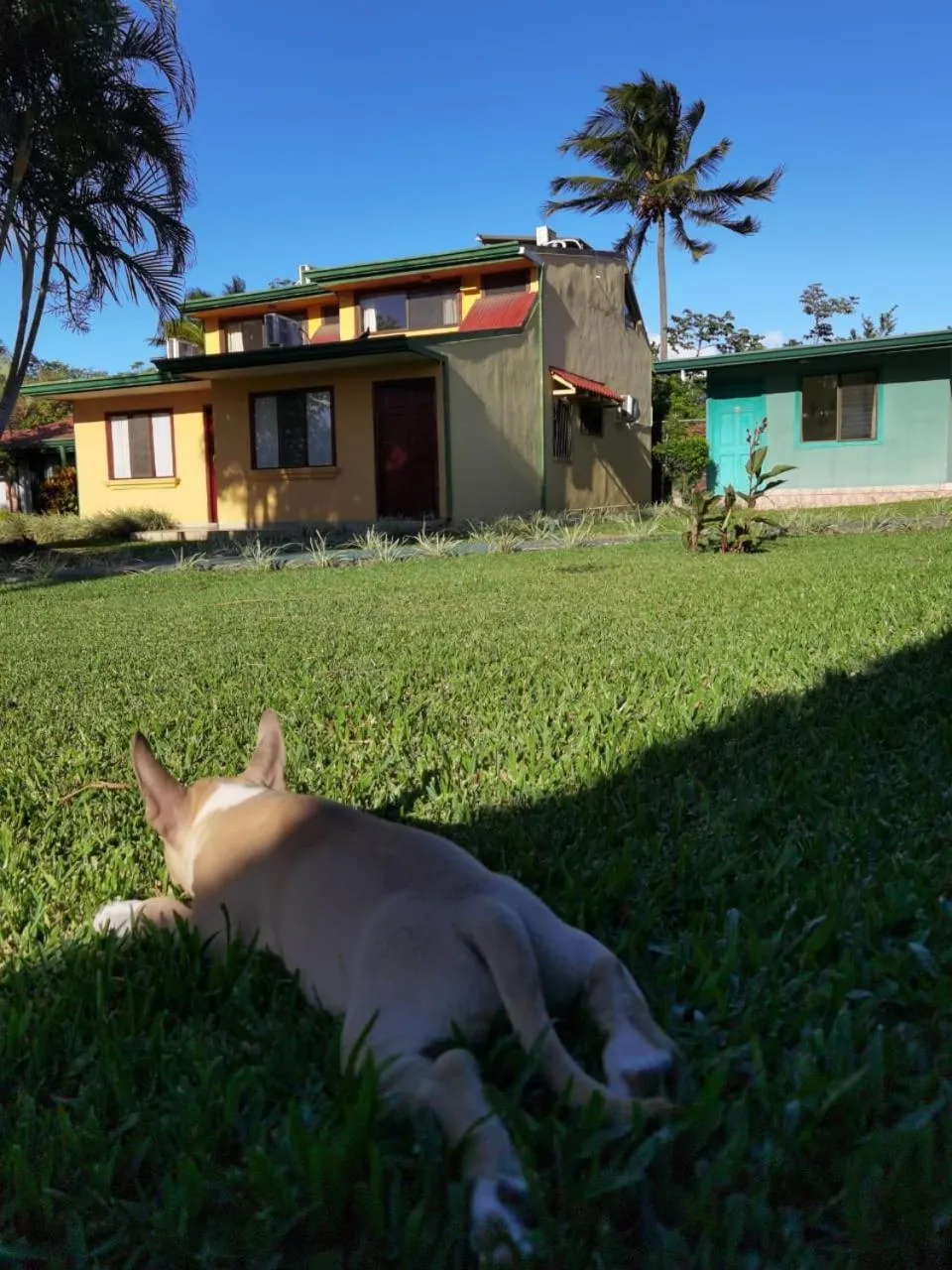 Animals in Hotel Bristol Aeropuerto