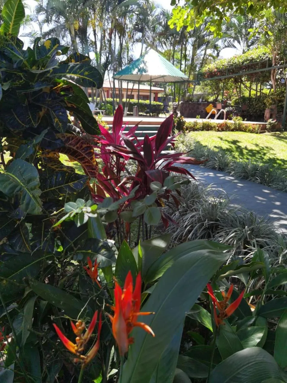 Garden in Hotel Bristol Aeropuerto