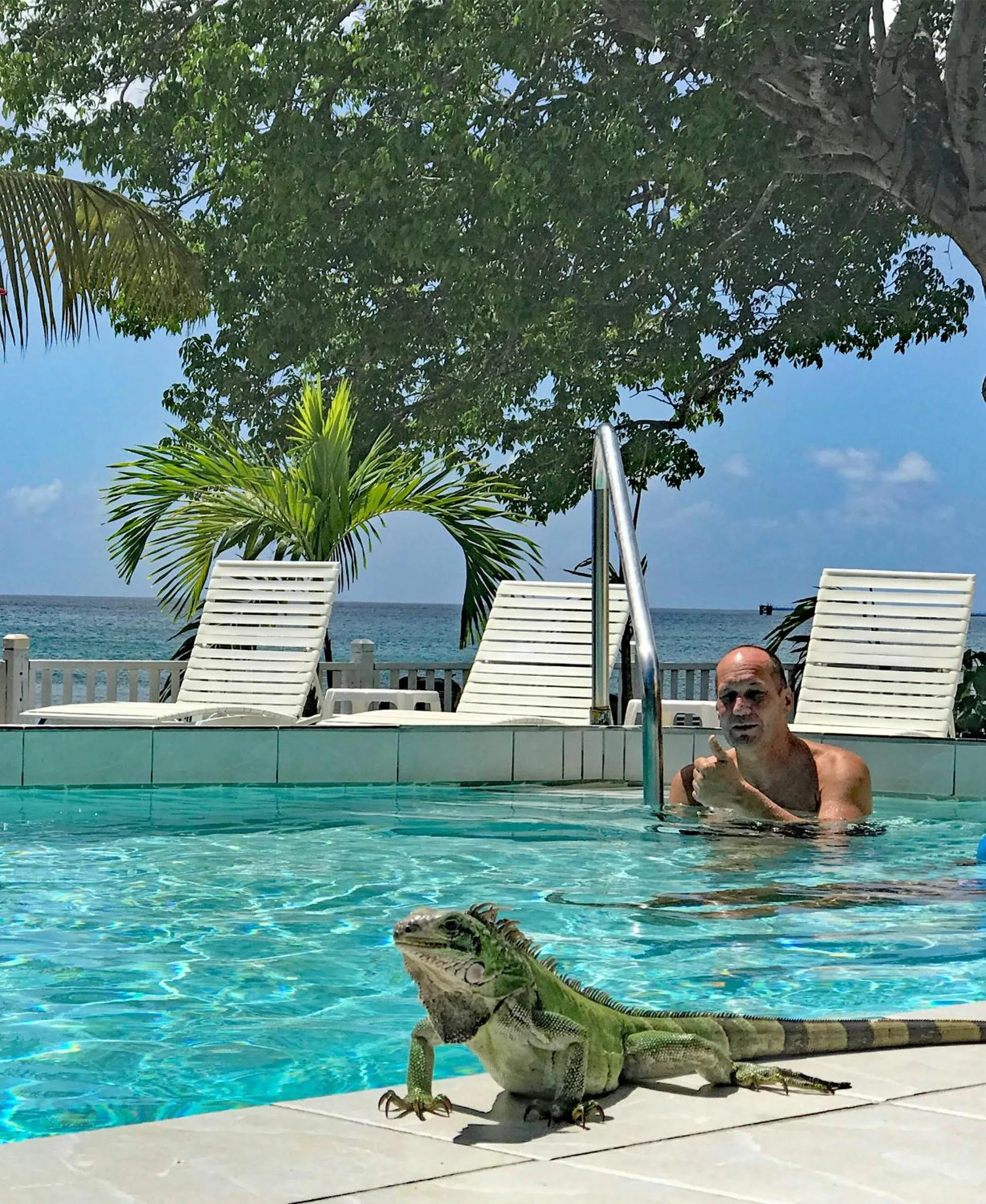 Animals in Sand Castle on the Beach - Adults Only