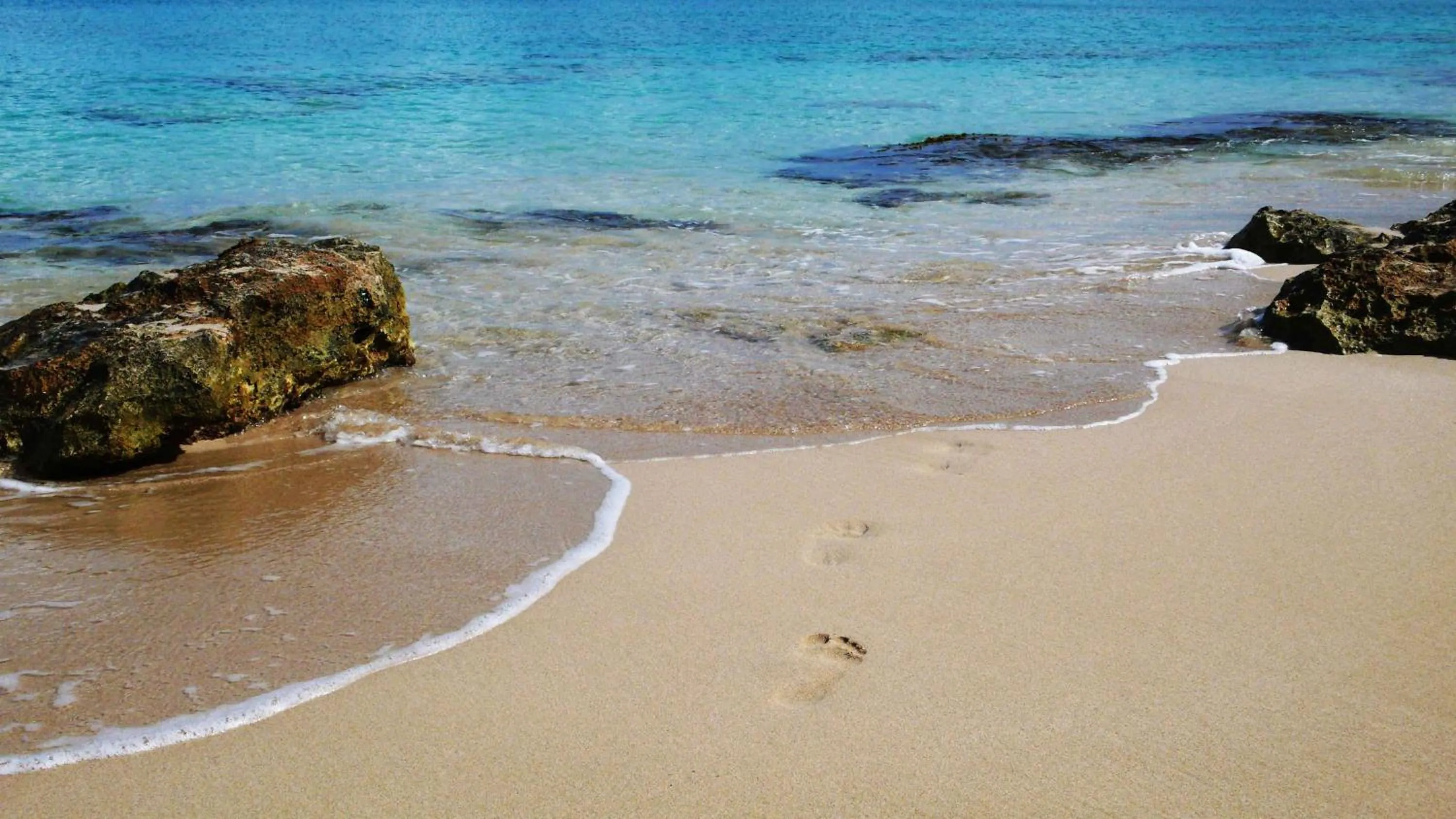 Area and facilities in Sand Castle on the Beach - Adults Only